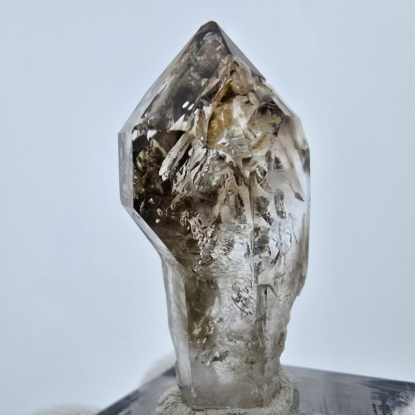 Enhydro Phantom Rauchquarz Fenster Zepter, 1x Blase Goboboseb Namibia 38*19*12mm