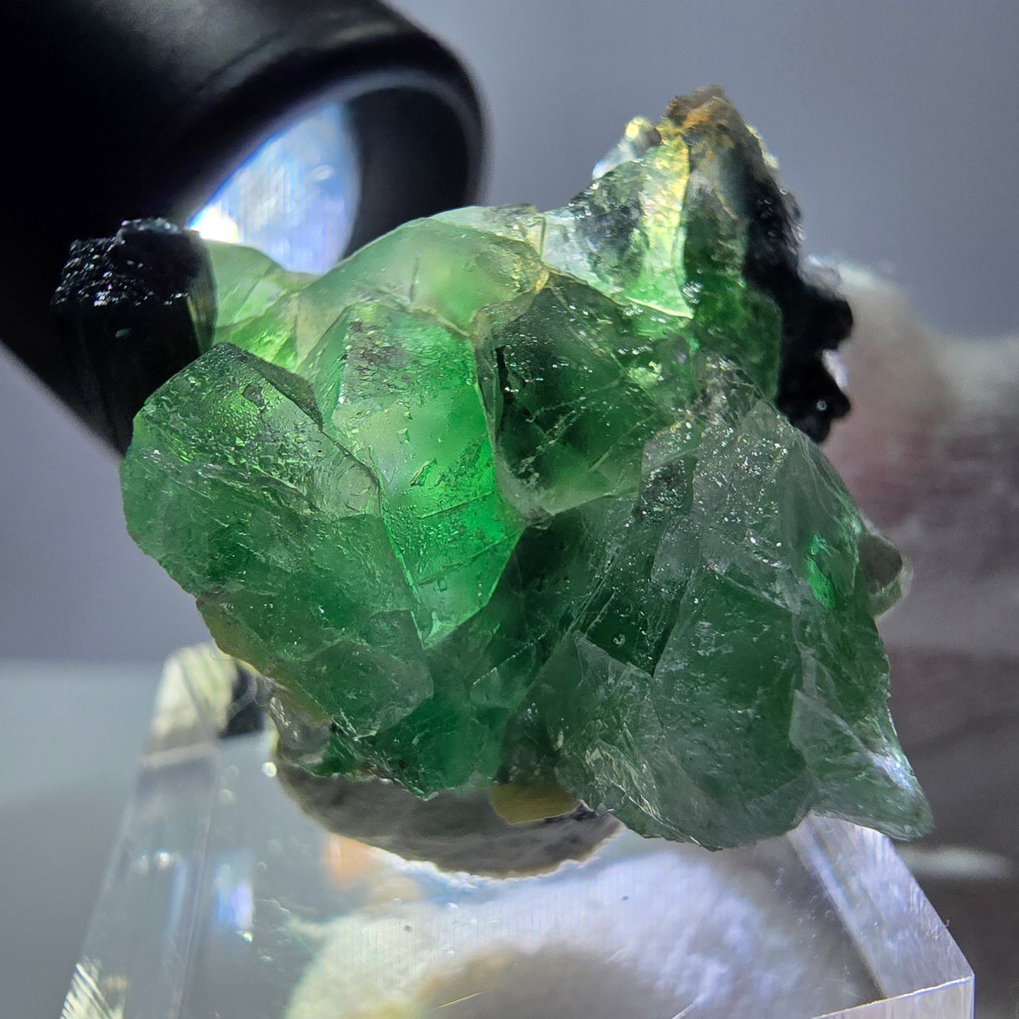 Fluorite fantôme, tourmaline Schörl, muscovite, hyalite, stade Erongo, Namibie 27*25*20 mm