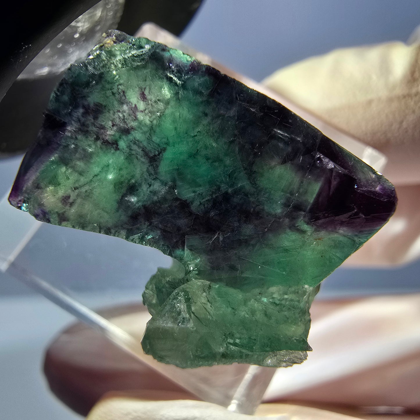Spécimen de cube de fluorite fantôme, parqueté vert violet Okorusu, Namibie 21*18*16 mm