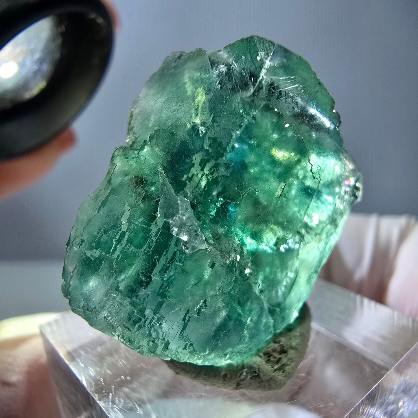 Cube de fluorite fantôme transparente parquetée, vert Okorusu, Namibie 23 x 22 x 15 mm