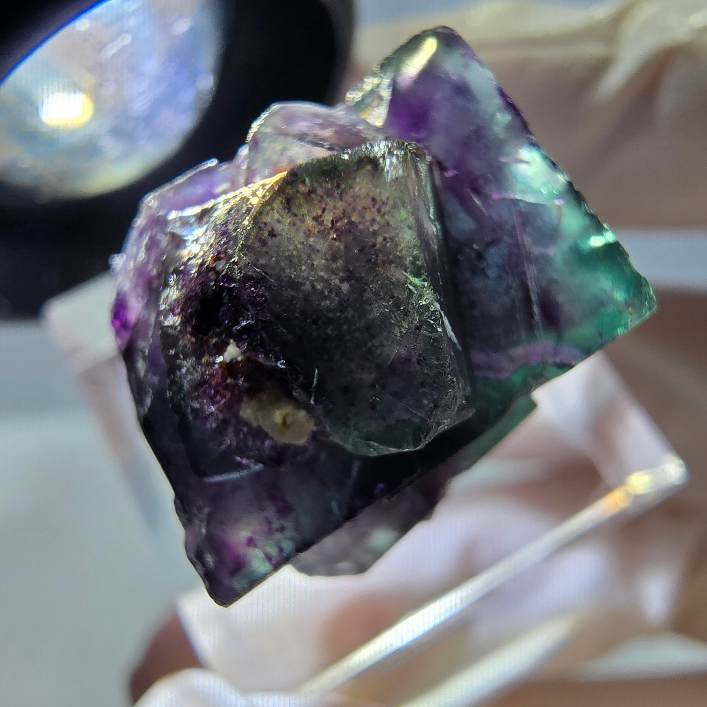Phantom Fluorit Würfel Stufe, parkettiert grün lila Okorusu, Namibia 27*19*16mm