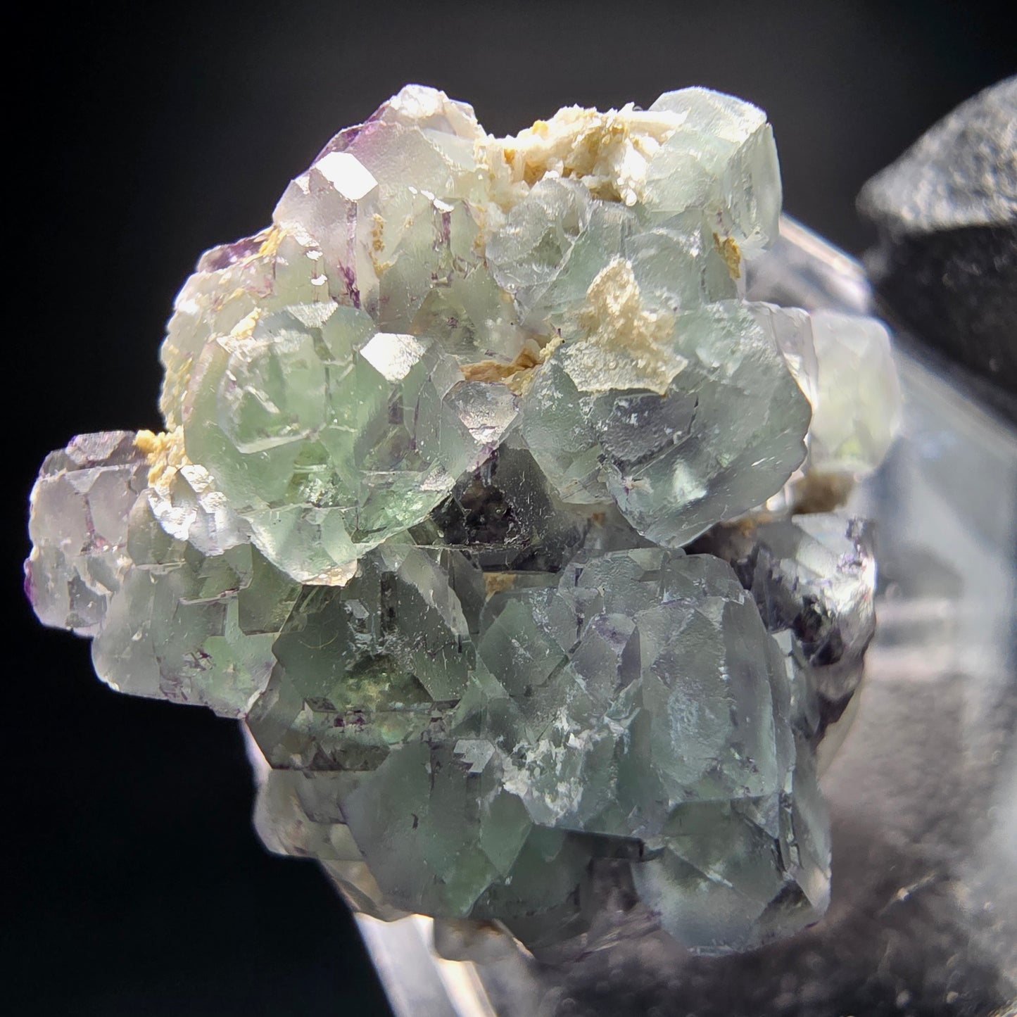 Phantom Fluorite Cube Tier Violet Vert Erongo Namibie 23*19*16mm Collection