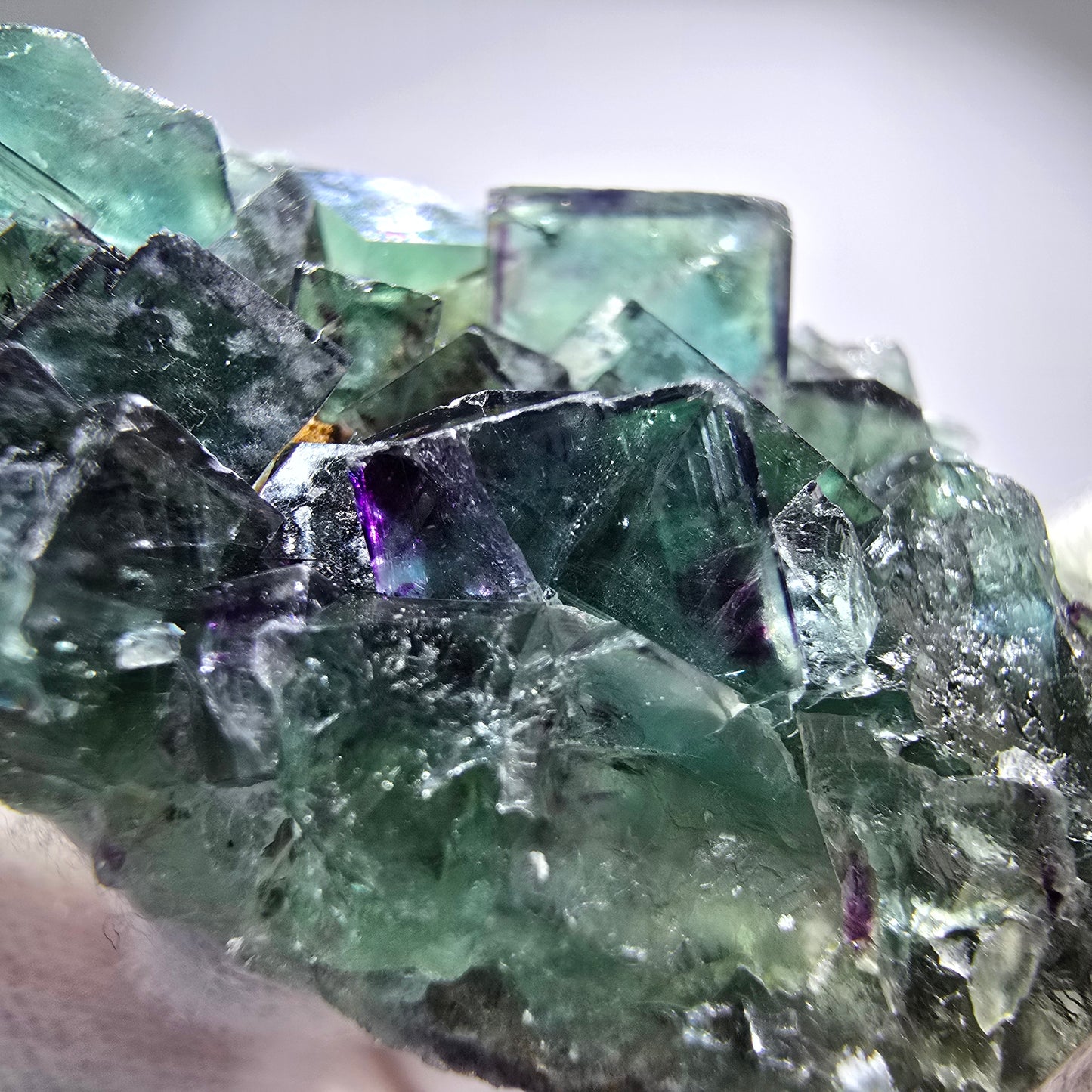Spécimen rare de cube de fluorite fantôme, vert zonal et violet, Okorusu, Namibie, 54 x 23 x 12 mm