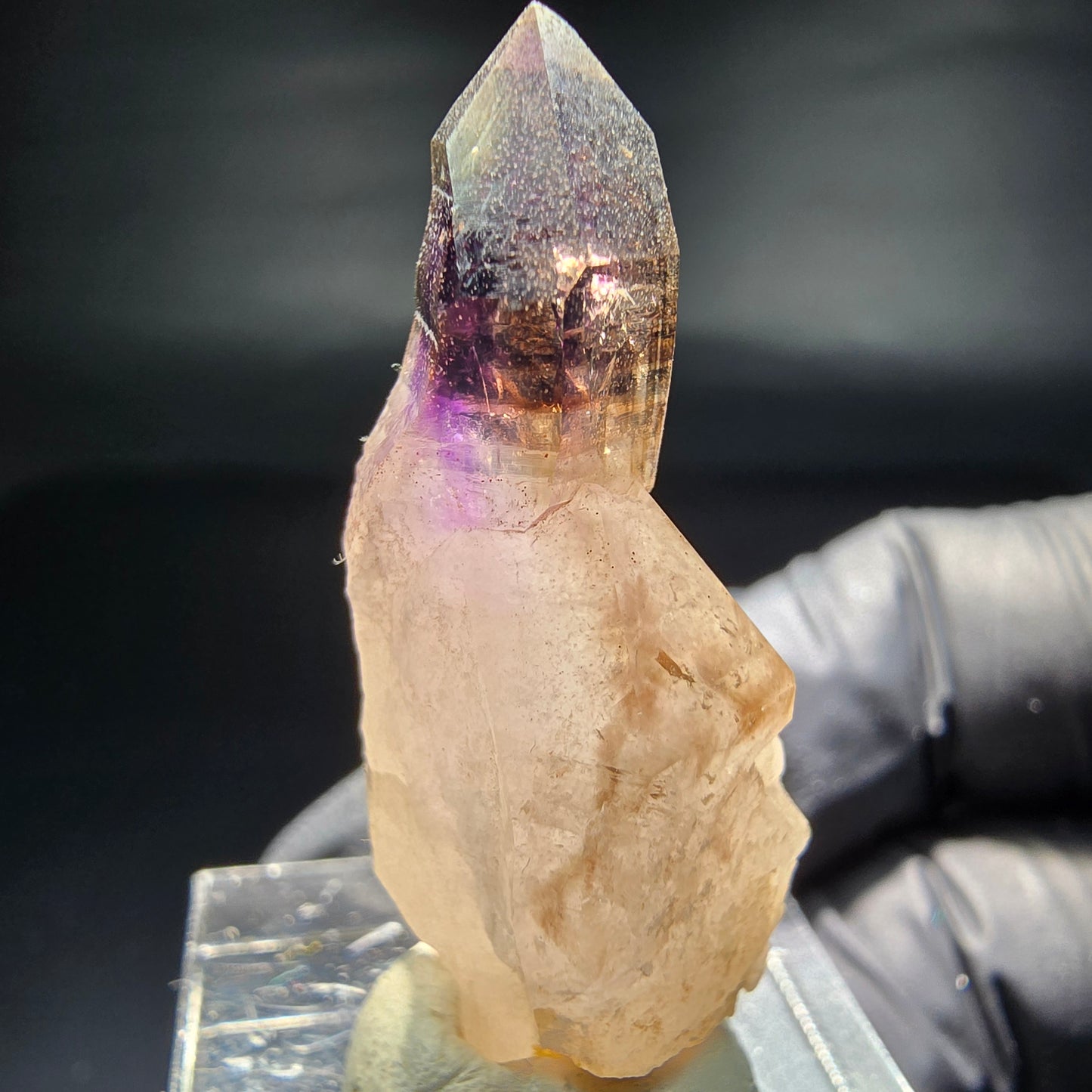 Seltene Phantom Zepter Amethyst Spitze lila braun Goboboseb, Namibia 39*17*15mm