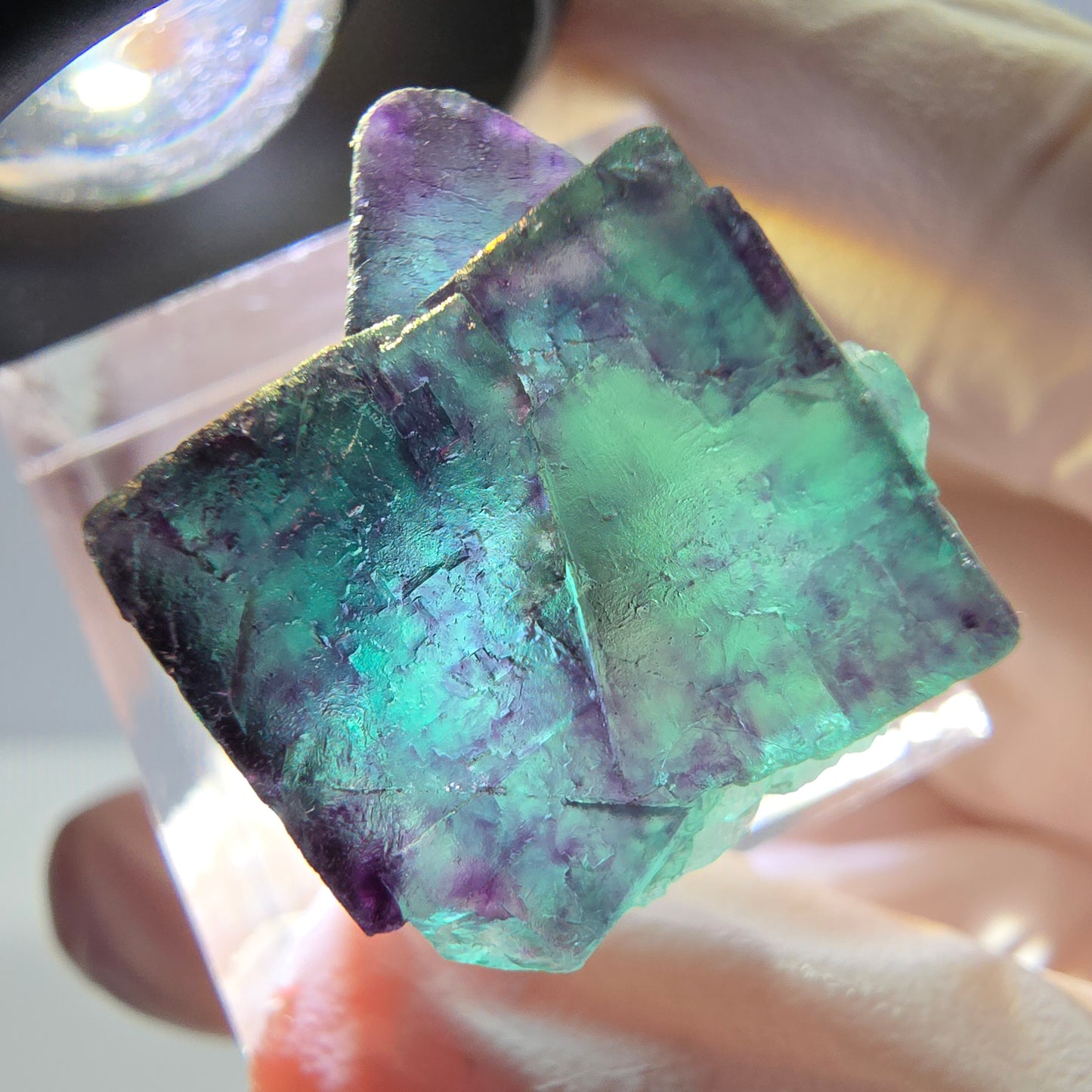 Phantom Fluorit Würfel Stufe, parkettiert grün lila Okorusu, Namibia 25*21*20mm
