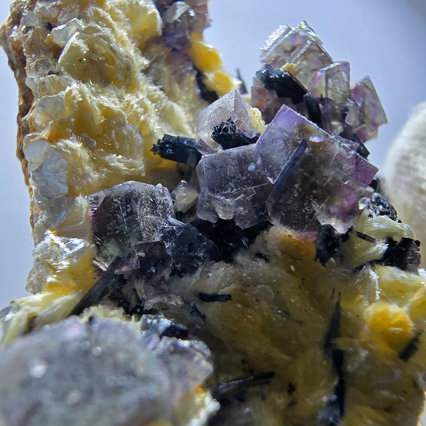 Cubes de fluorite fantôme colorés, tourmaline scholle muscovite, Erongo, Namibie, 61 x 60 x 29 mm