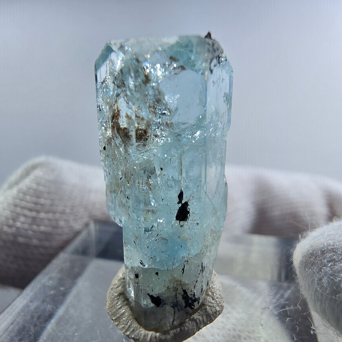 Aigue-marine Setlene, spécimen de tourmaline Schorl, Erongo, Namibie, 23 x 11 x 9 mm
