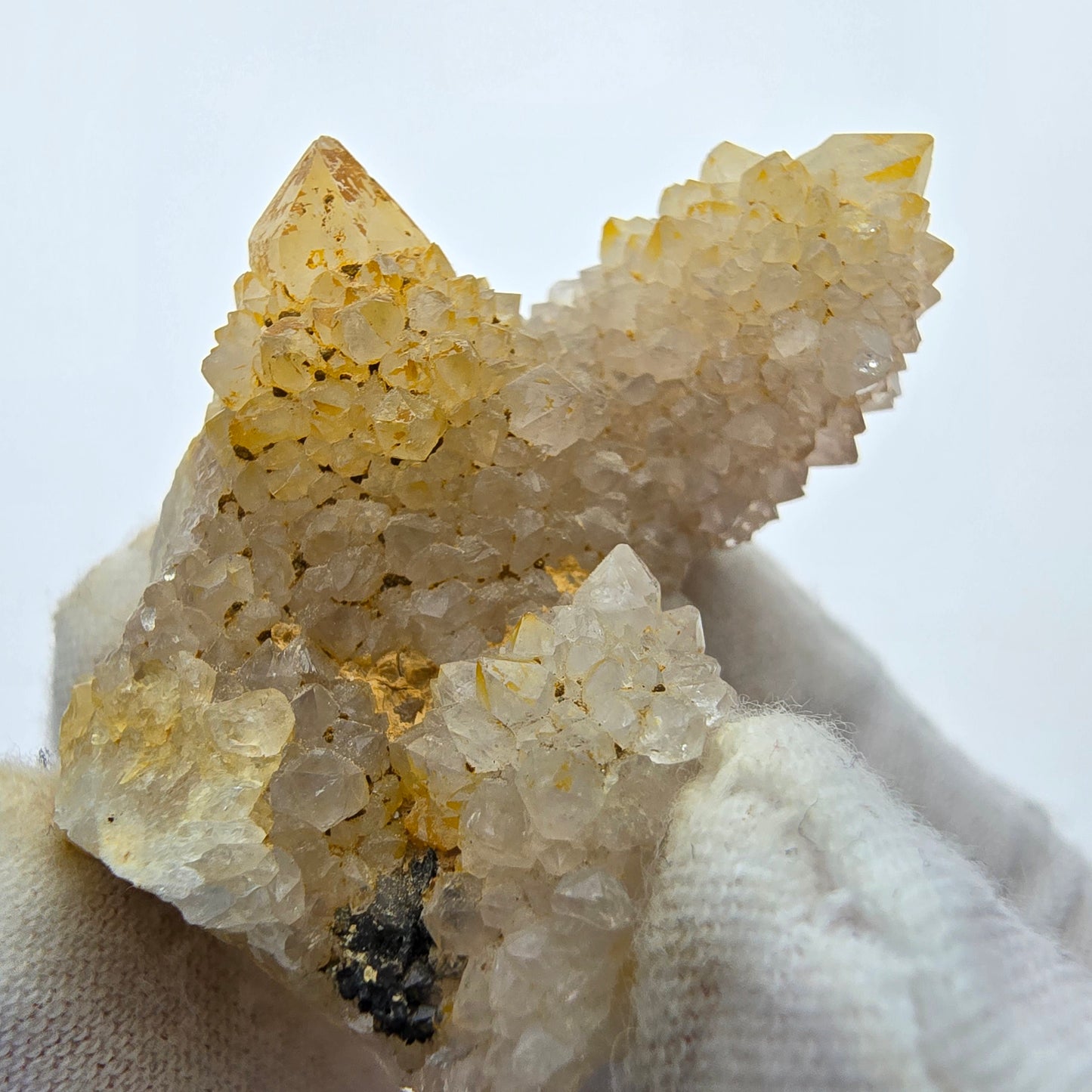 Kaktusquarz, Spirit Quarz XX Stufe Boekenhouthoek, Südafrika 45*30*23mm Sammlung