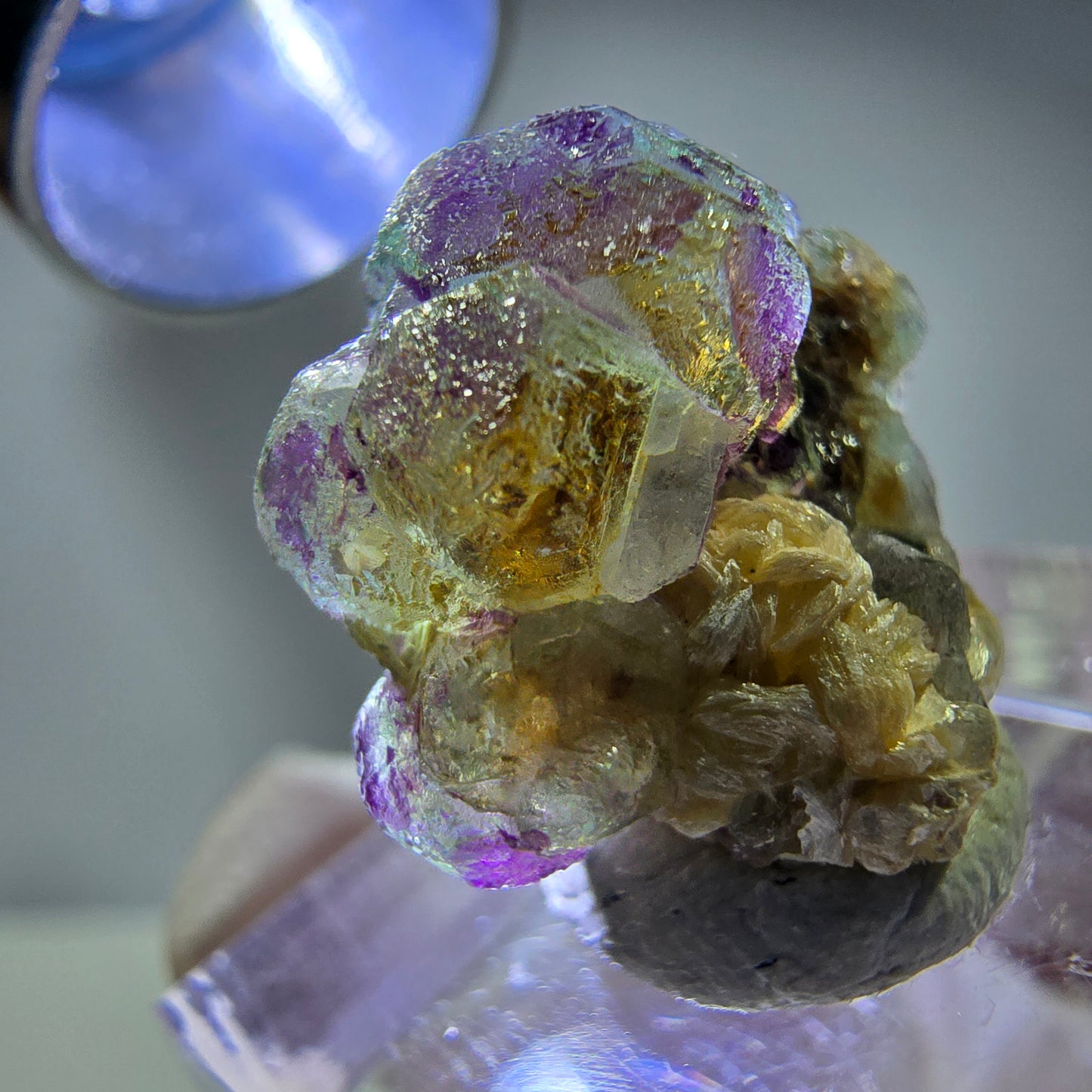 Cubes de fluorite fantôme colorés, spécimen de muscovite, Erongo, Namibie, 18 x 17 x 11 mm