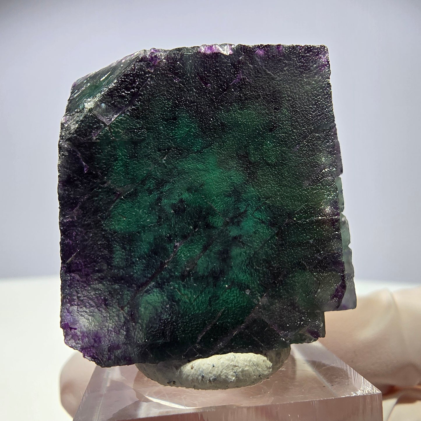 Rare cube de fluorite fantôme parqueté vert violet Okorusu Namibie 35*35*25mm