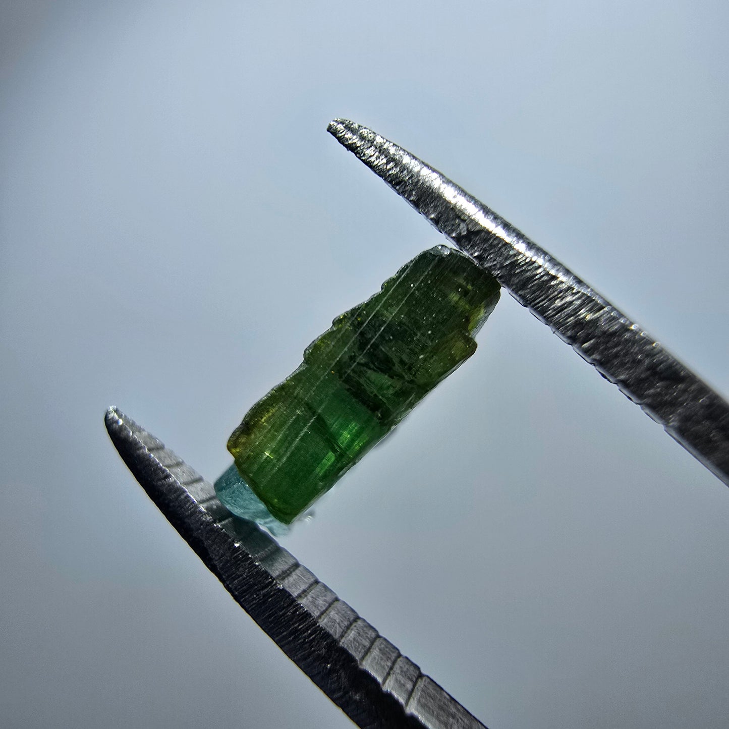 Cristal rare de tourmaline elbaïte, vert bleu Minas Gerais, Brésil #7986