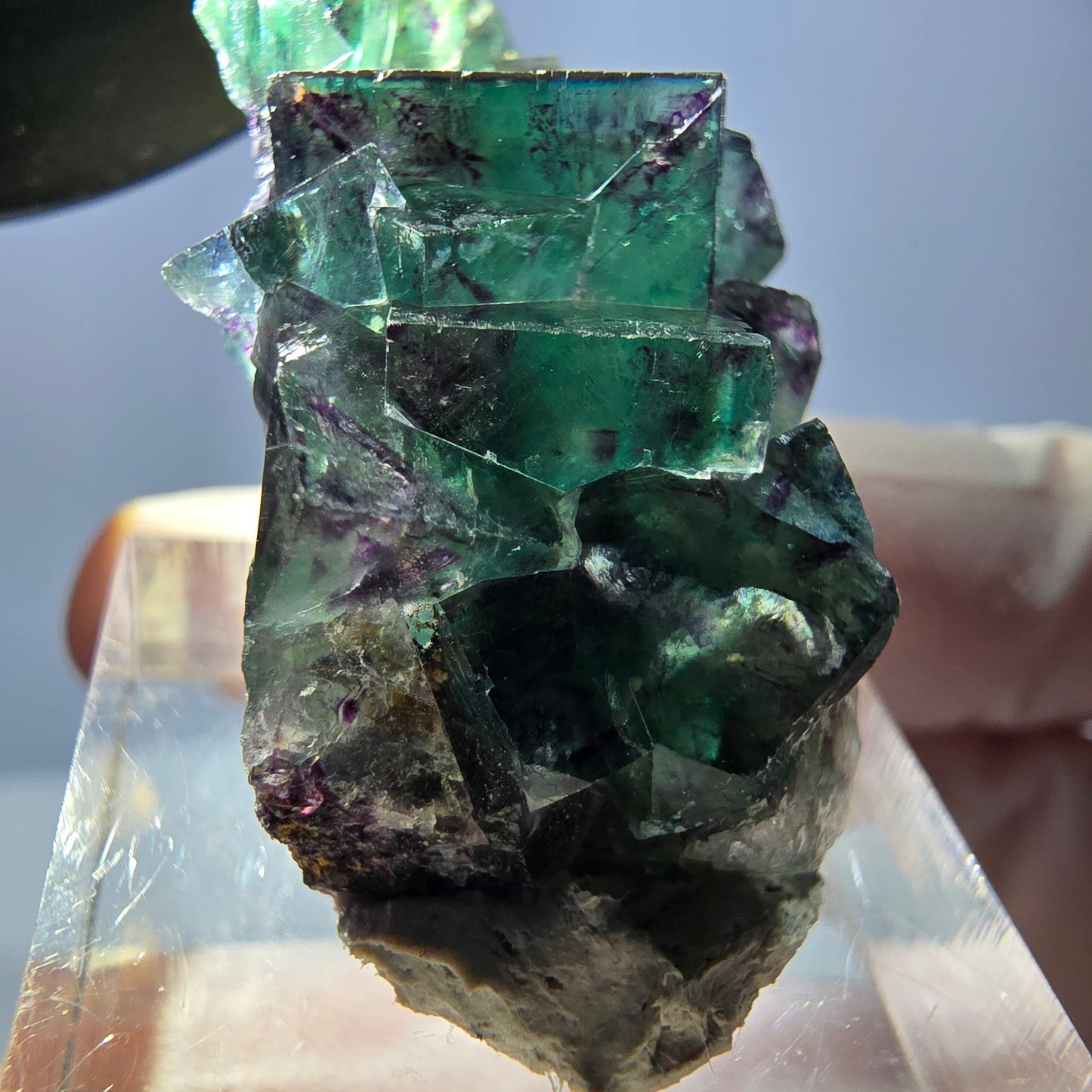 Spécimen de cube de fluorite fantôme, parqueté vert violet Okorusu, Namibie 37*22*13 mm