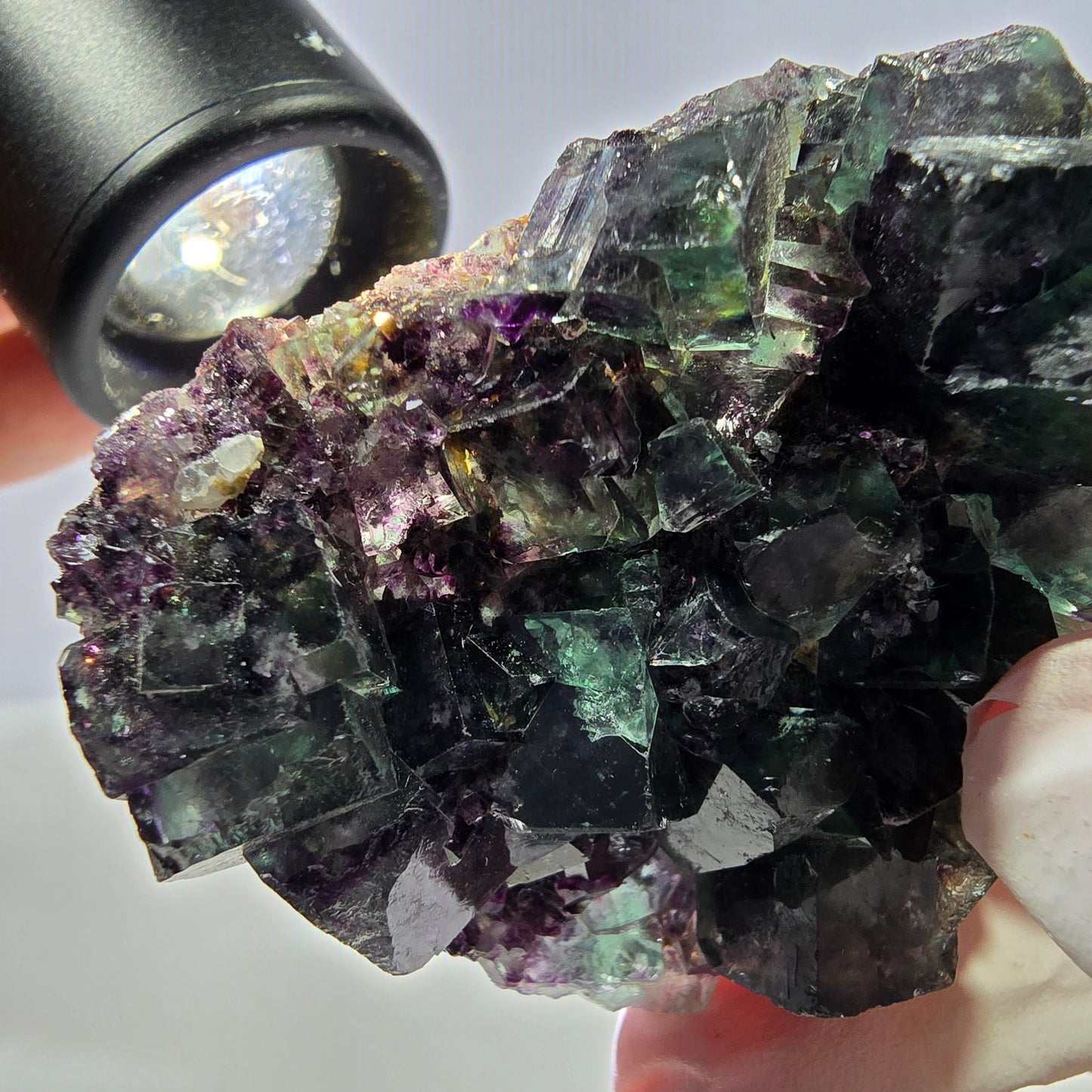 Spécimen de cube de fluorite fantôme parqueté vert violet Okorusu, Namibie 52*42*16 mm