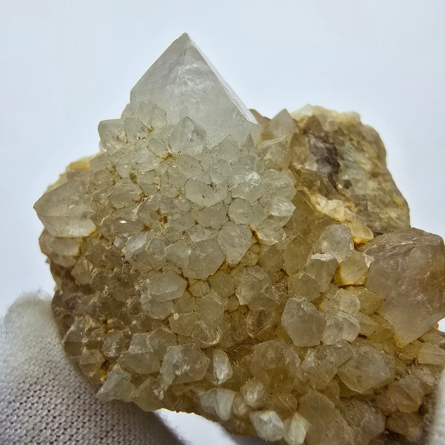 Kaktusquarz, Spirit Quarz XX Stufe Boekenhouthoek, Südafrika 55*43*27mm Sammlung