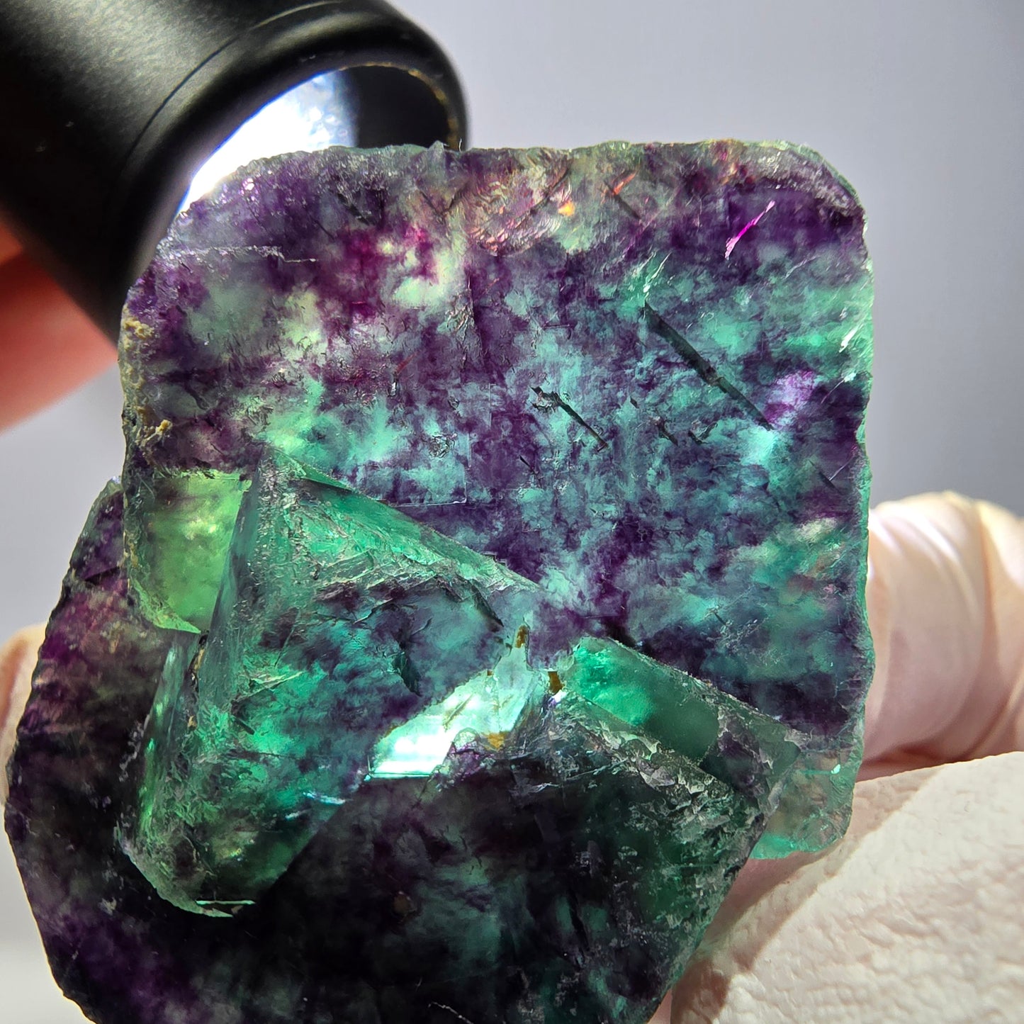 Spécimen de cube de fluorite fantôme, parqueté vert violet Okorusu, Namibie 51*35*16 mm