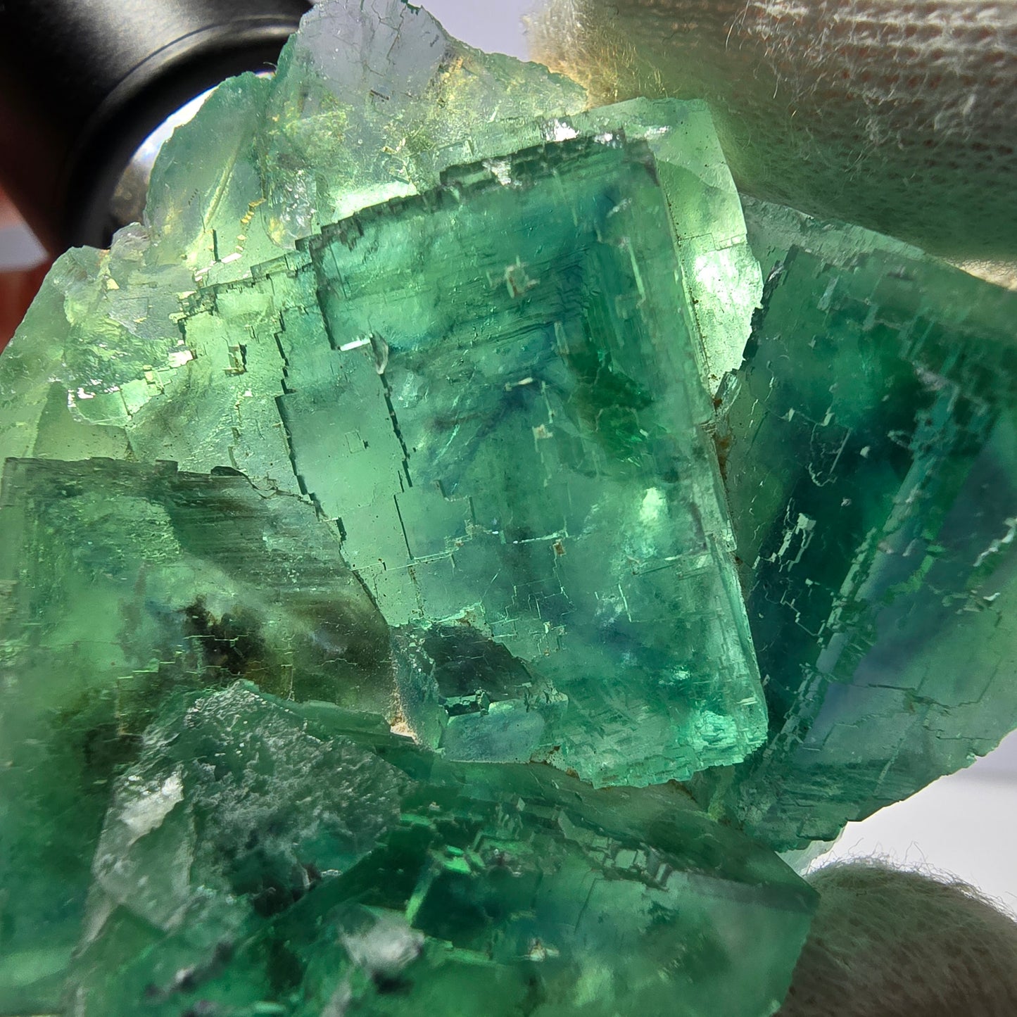 Rare Phantom Fluorite Cube Specimen Parquetted Green Okorusu Namibia 69*54*23mm