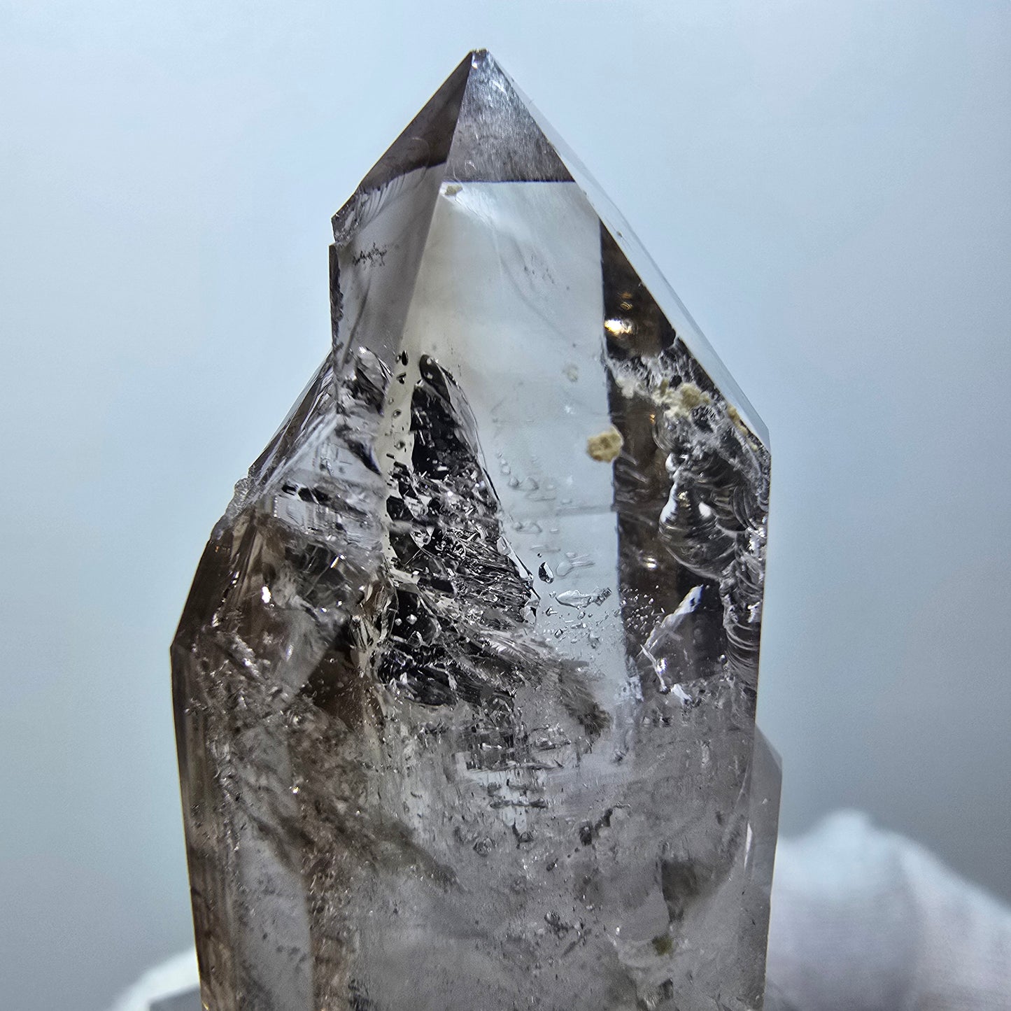 Klarer Phantom Rauchquarz DT Zepter Kristall Goboboseb, Namibia 43*20*18mm