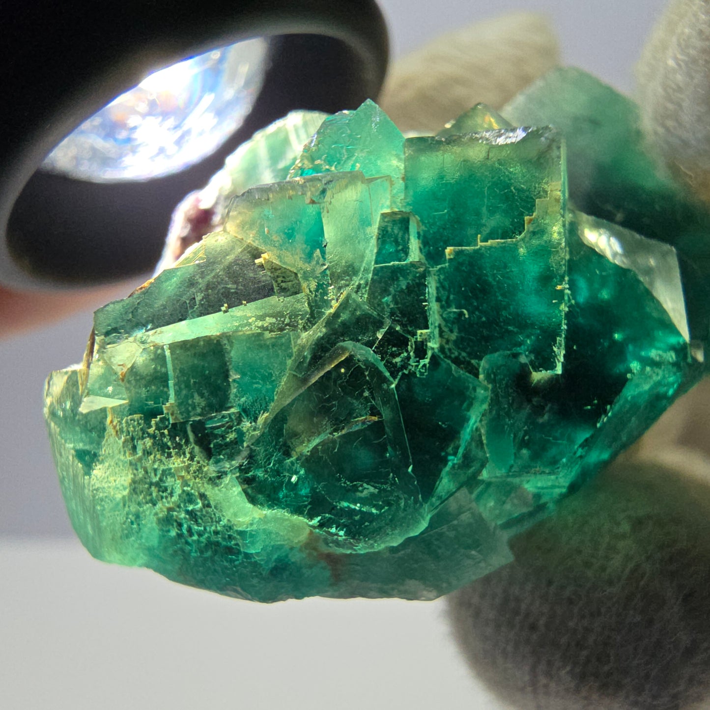Rare spécimen de cube de fluorite fantôme, parqueté vert Okorusu, Namibie, 44 x 31 x 17 mm