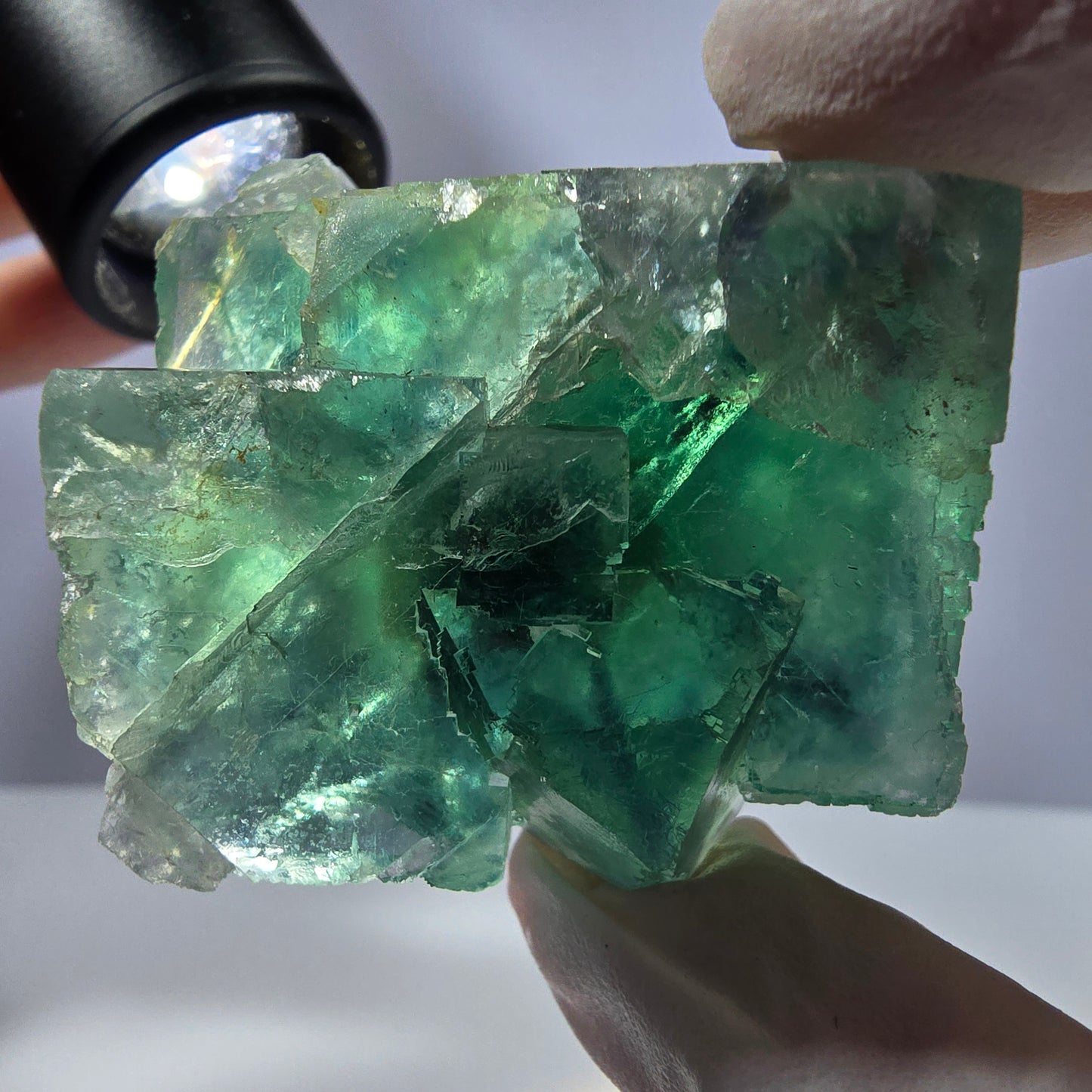 Spécimen de cube de fluorite fantôme transparente, vert parqueté, Okorusu, Namibie, 43 x 37 x 21 mm