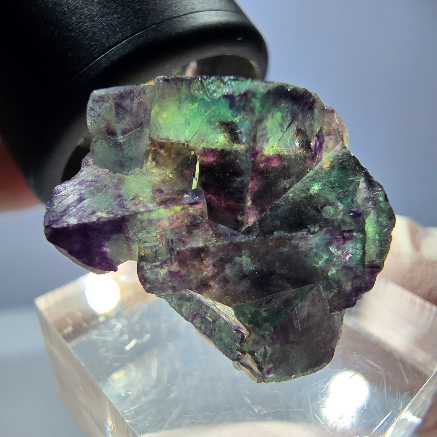 Spécimen de cube de fluorite fantôme, parqueté vert violet Okorusu, Namibie 28*21*15 mm