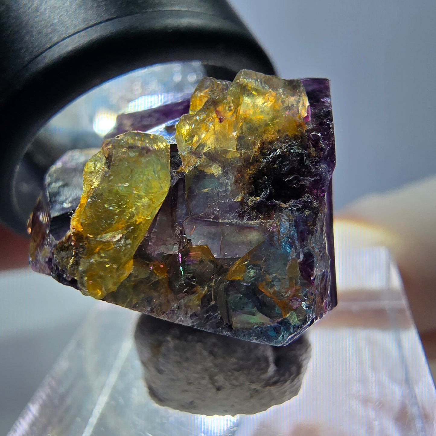 Spécimen de cube de fluorite fantôme, parqueté vert violet Okorusu, Namibie 22*20*17 mm