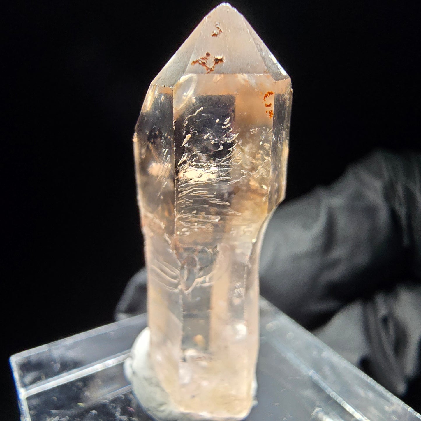 Klare Phantom Rauchquarz Zepter Spitze Goboboseb, Namibia 31*11*8mm Sammlung