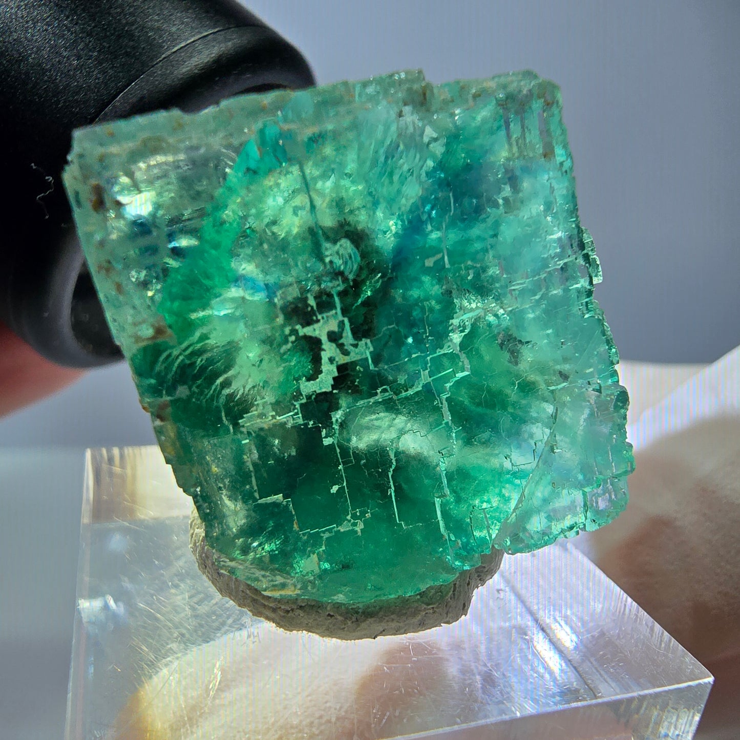 Cube de fluorite fantôme transparente parquetée, vert Okorusu, Namibie 23*23*22mm
