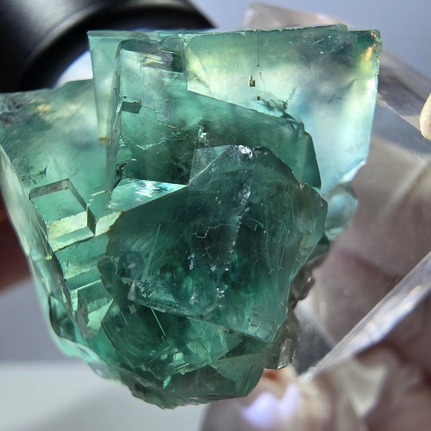 Spécimen de cube de fluorite fantôme, parquet vert Okorusu, Namibie 37 x 30 x 27 mm