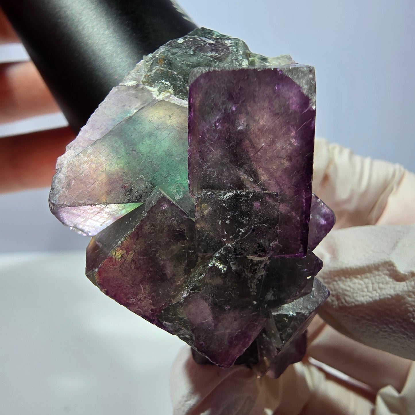 Rare spécimen de cube de fluorite fantôme, vert-violet, Okorusu, Namibie, 53 x 43 x 28 mm