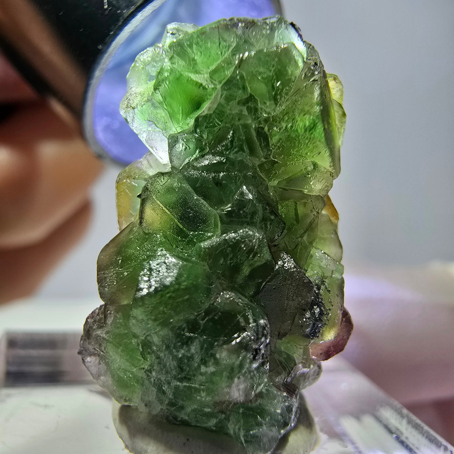 Cube de fluorite fantôme, zonal, spécimen de tourmaline Schorl, Erongo, Namibie, 23 x 15 x 14 mm