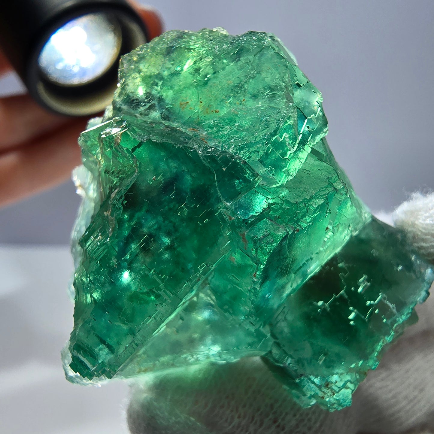 Rare spécimen de cube de fluorite fantôme, parqueté vert Okorusu, Namibie, 47 x 42 x 25 mm