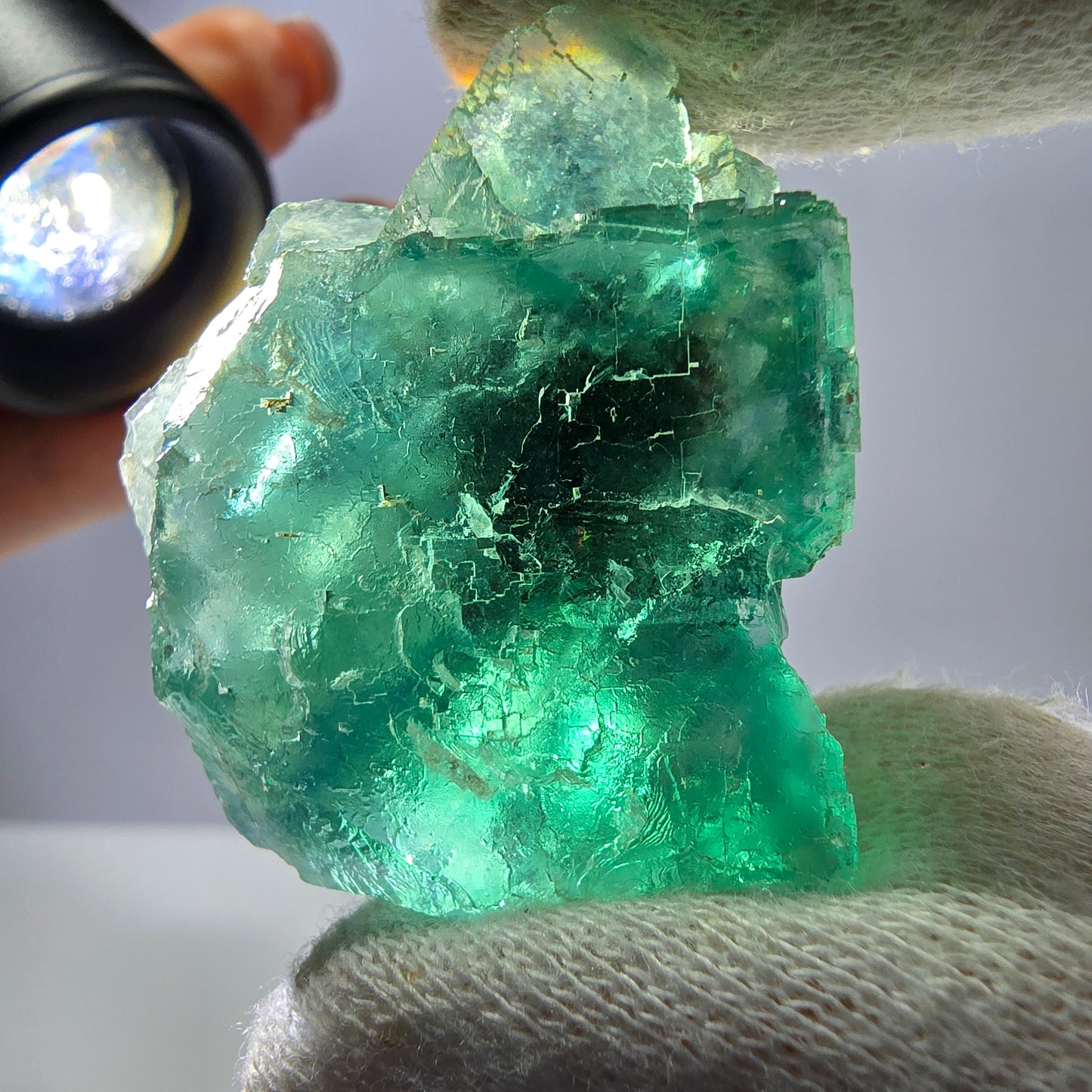 Rare spécimen de cube de fluorite fantôme, parqueté vert Okorusu, Namibie, 40 x 33 x 23 mm