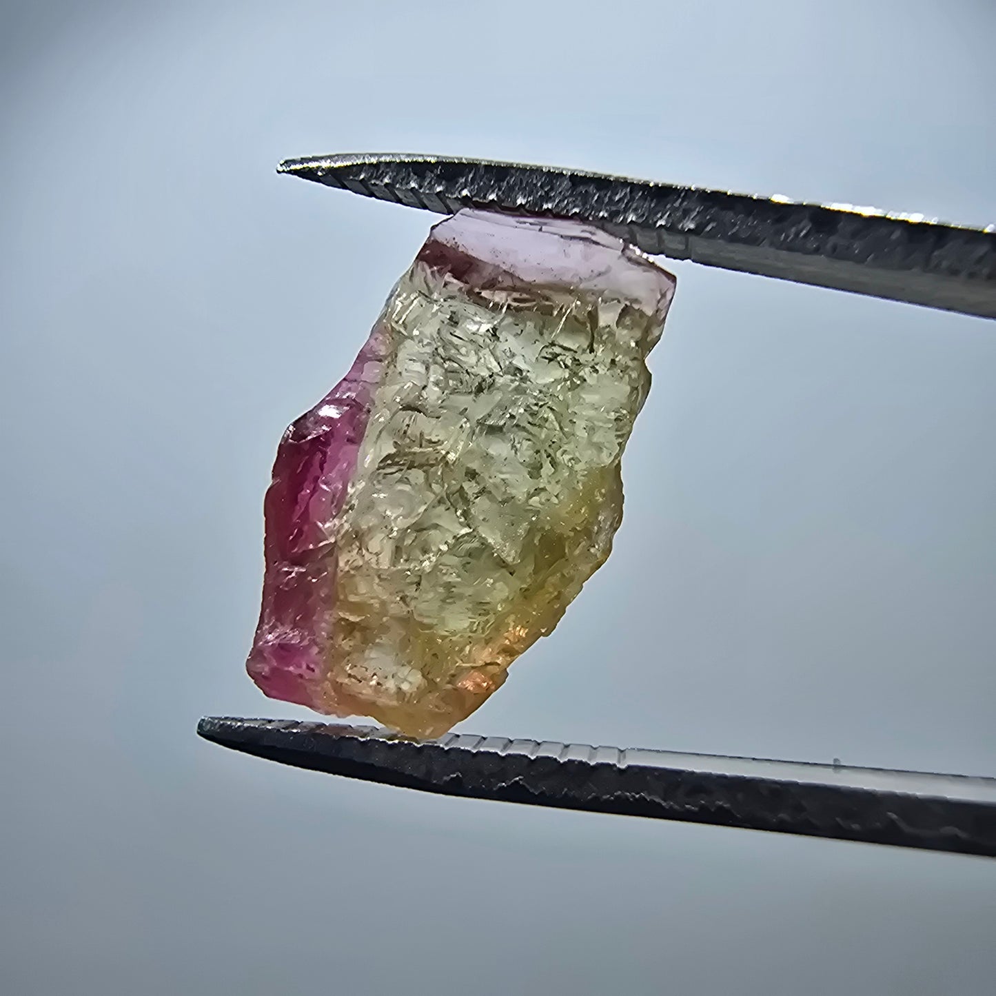 Seltener Elbait Turmalin Kristall, grün rosa Minas Gerais, Brasilien 16*9*4mm
