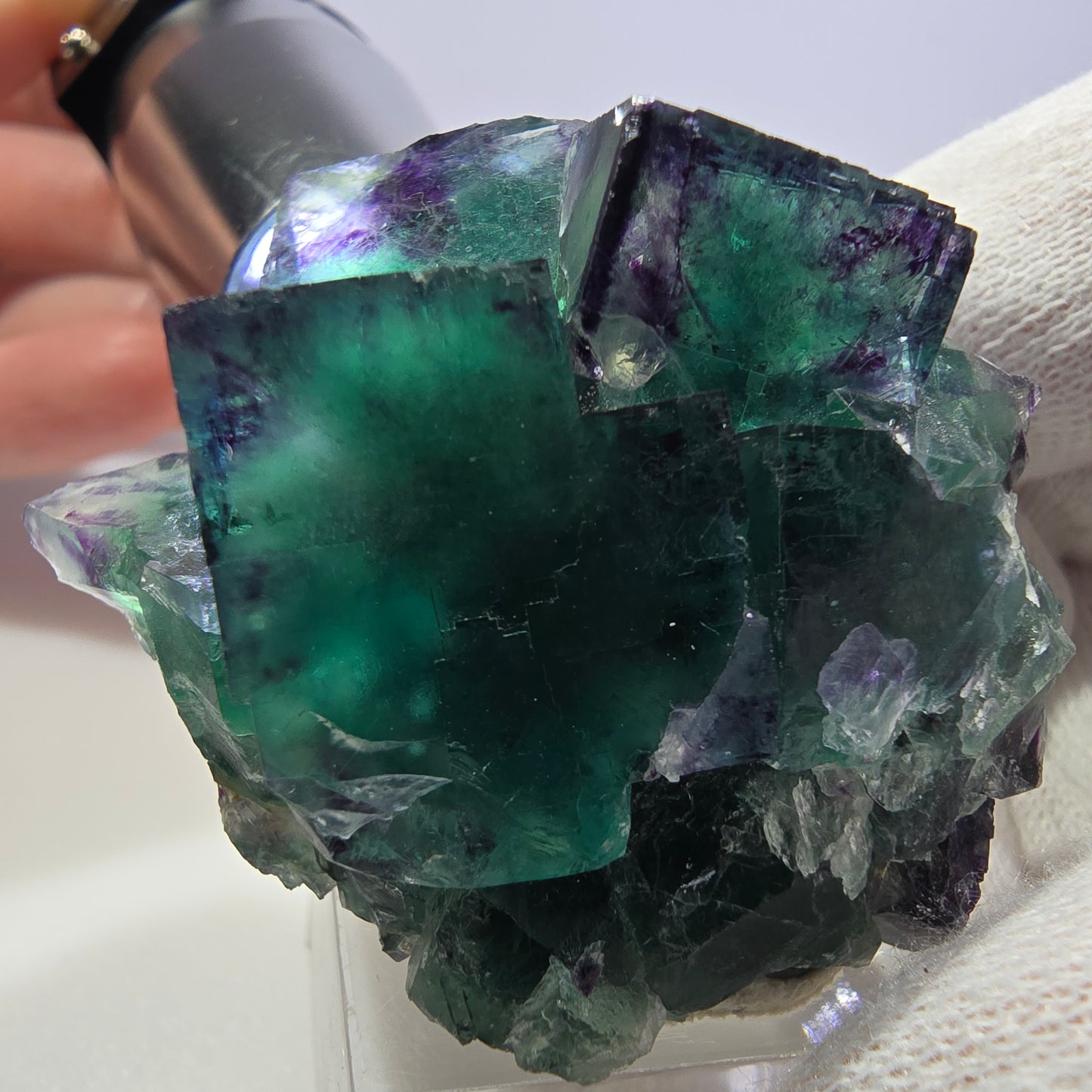 Spécimen de cube de fluorite fantôme transparente, vert-violet zonal, Okorusu, Namibie, 47 x 43 x 31 mm