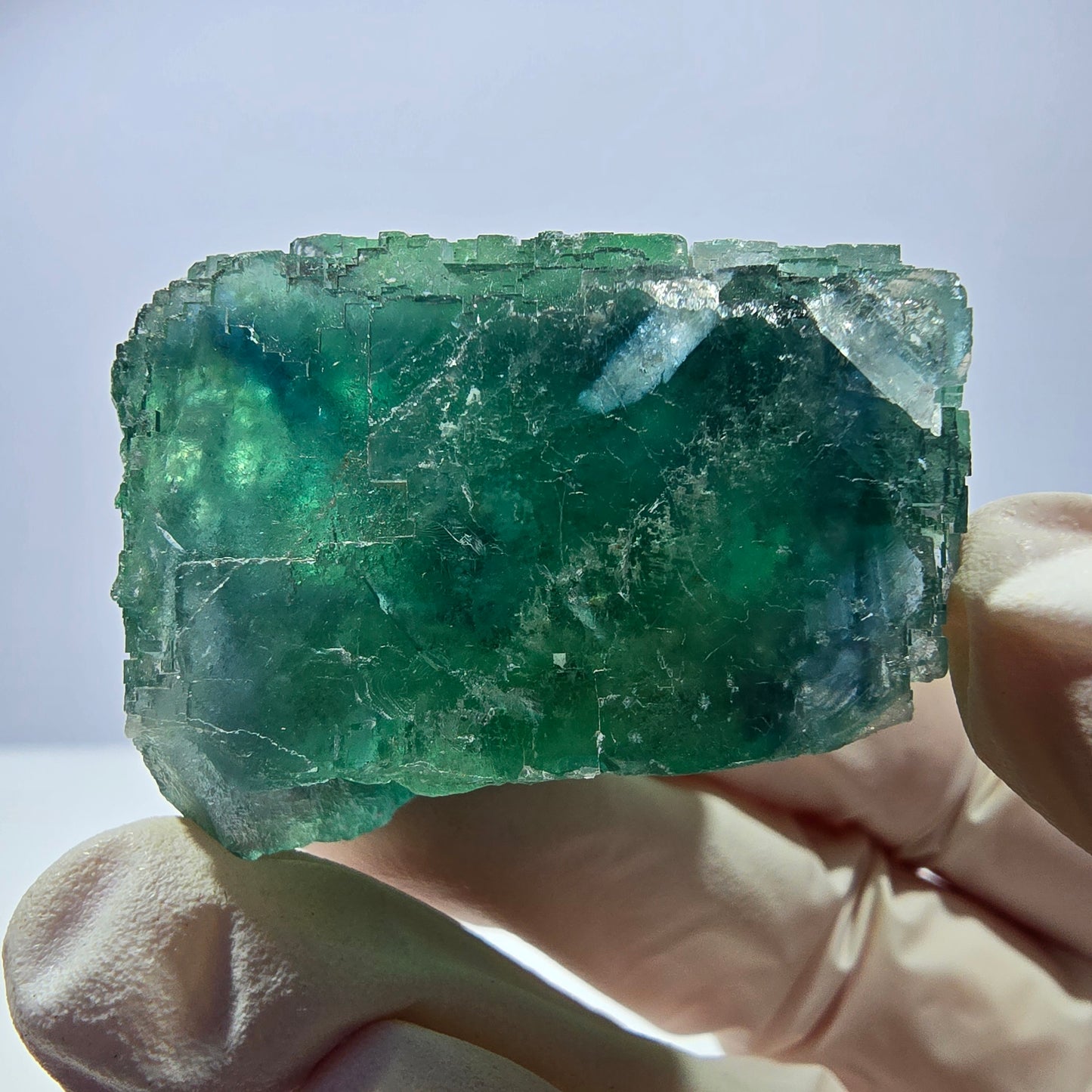 Spécimen de cube de fluorite fantôme transparente, vert parqueté, Okorusu, Namibie, 44 x 37 x 27 mm