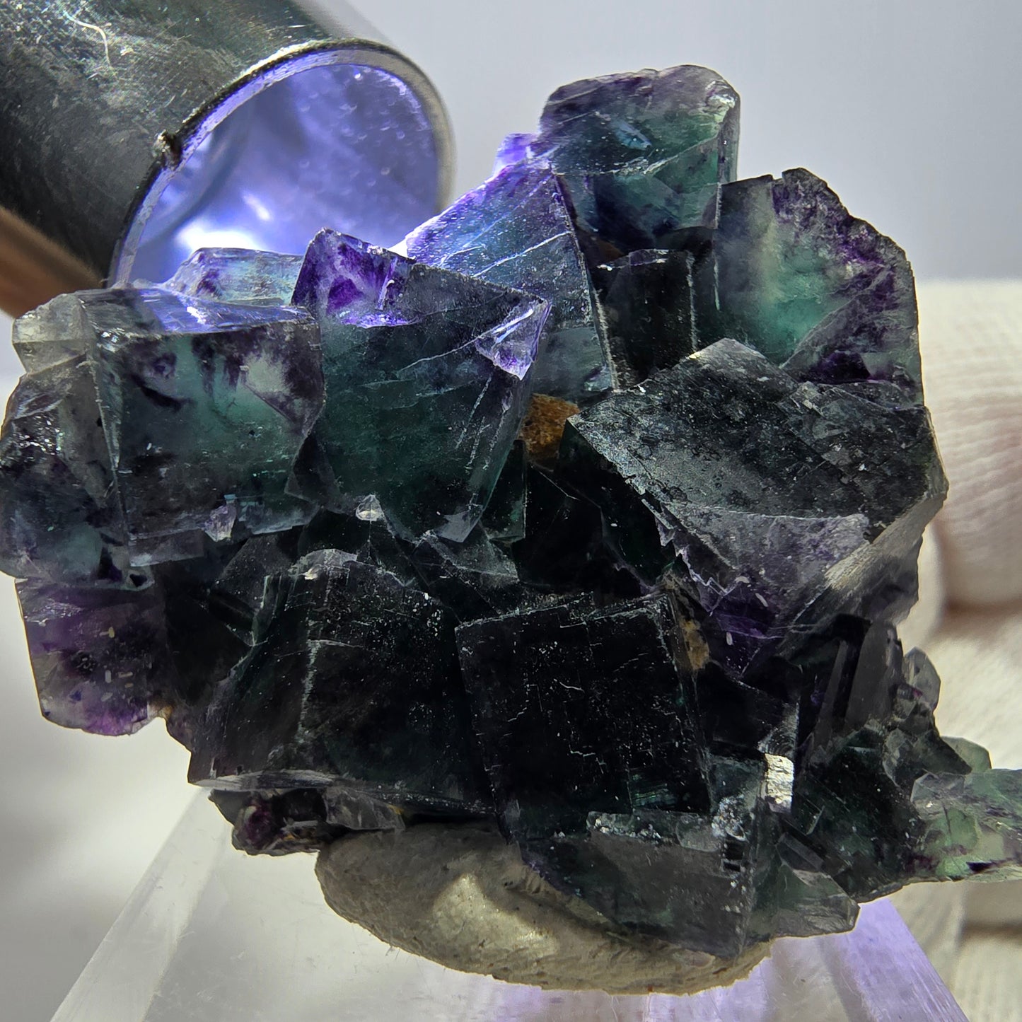 Spécimen zonal de cube de fluorite fantôme, vert violet, Okorusu, Namibie, 41 x 31 x 15 mm