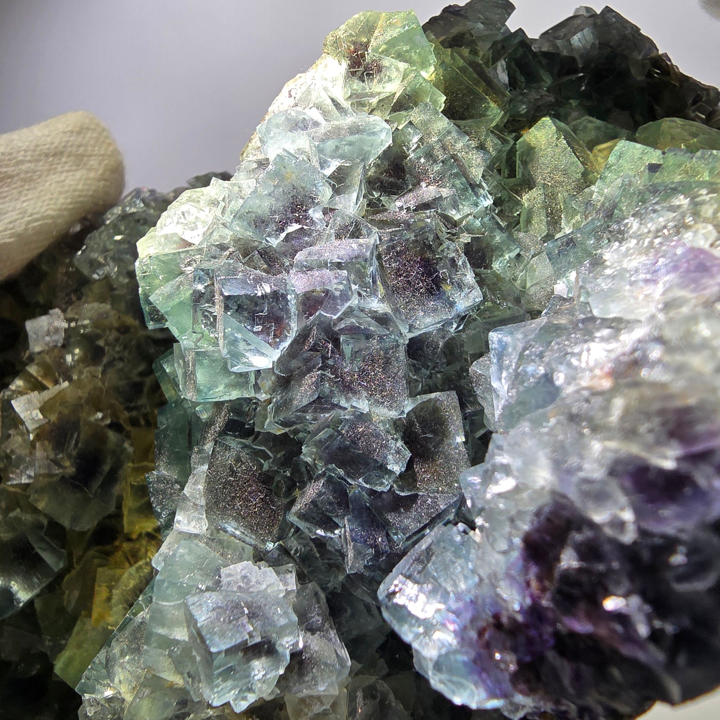 Spécimen de cube de fluorite fantôme XL, parqueté, vert violet Okorusu, Namibie 181*124*74mm