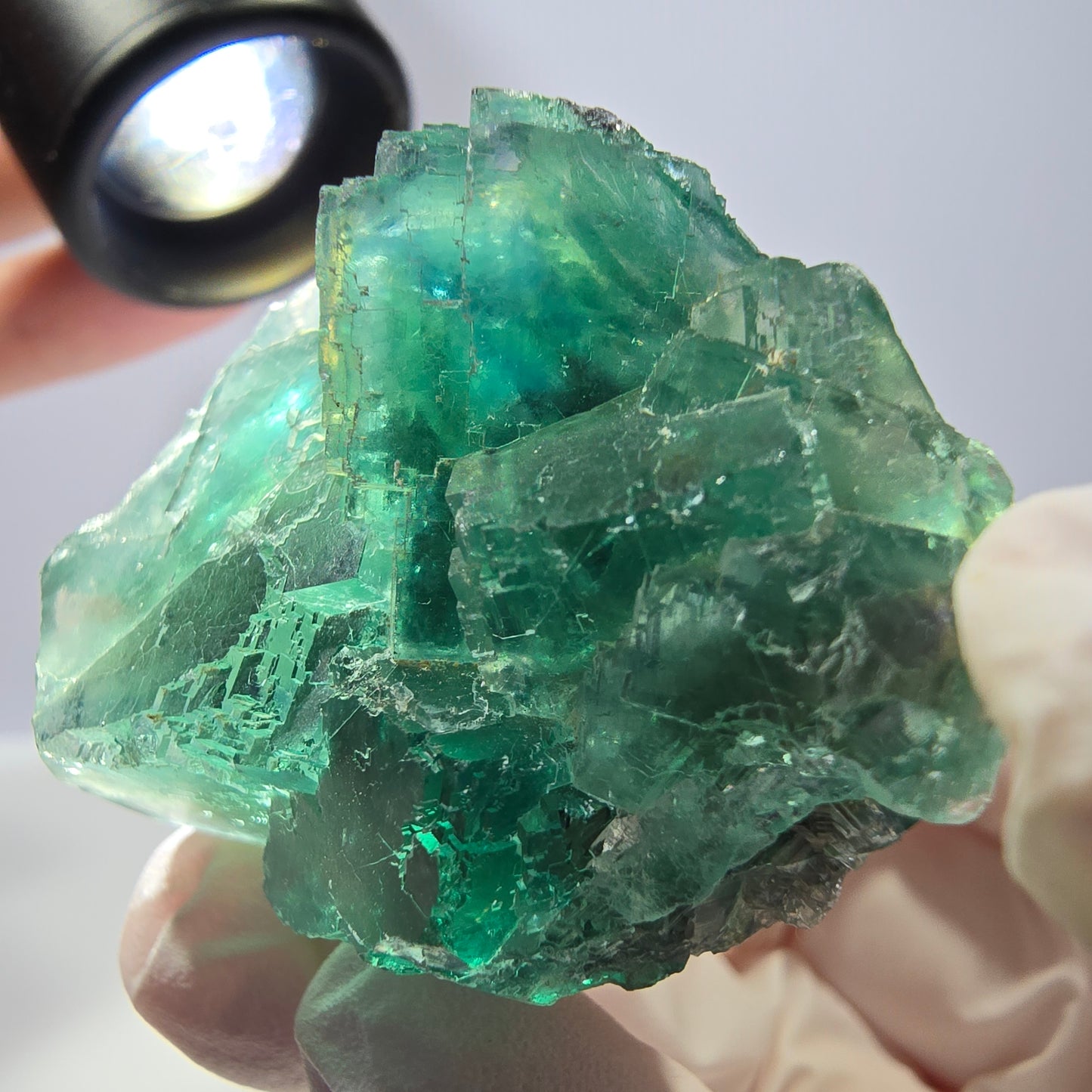 Spécimen de cube de fluorite fantôme transparente, vert parqueté, Okorusu, Namibie, 48 x 36 x 21 mm