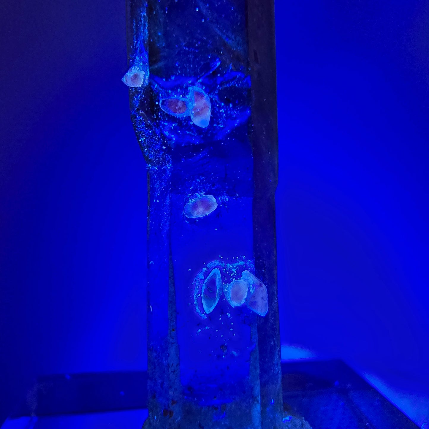 Phantom Amethyst Hämatit Zepter mit UV Calcit Goboboseb, Namibia 35*9*6mm