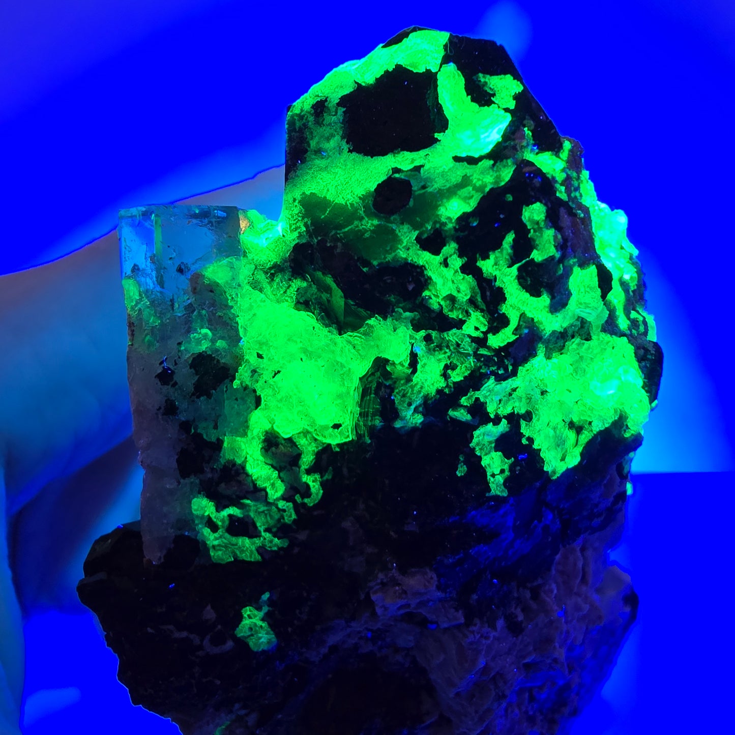 Grand spécimen d'aigue-marine, de tourmaline schorl, d'hyalite et d'orthose, Erongo, Namibie, 107 x 70 x 45 mm