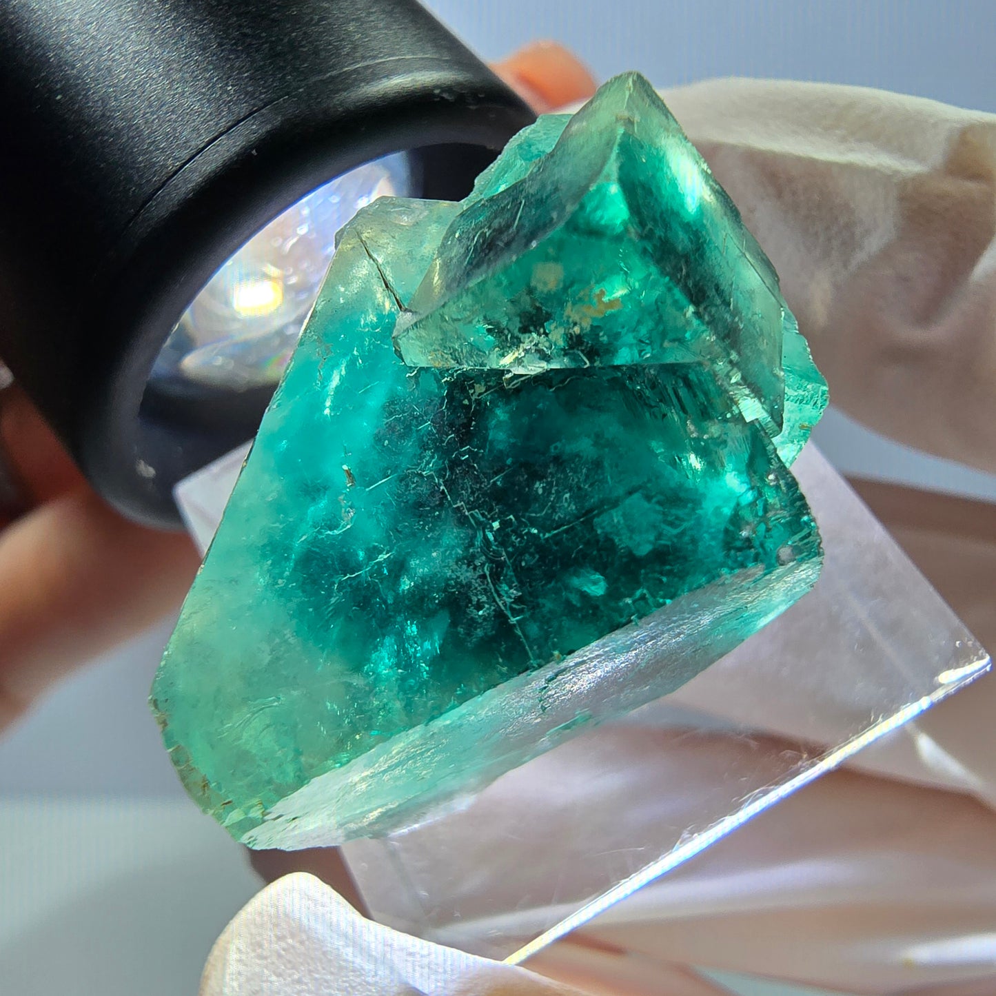 Spécimen de cube de fluorite fantôme, parquet vert Okorusu, Namibie 30*22*20 mm