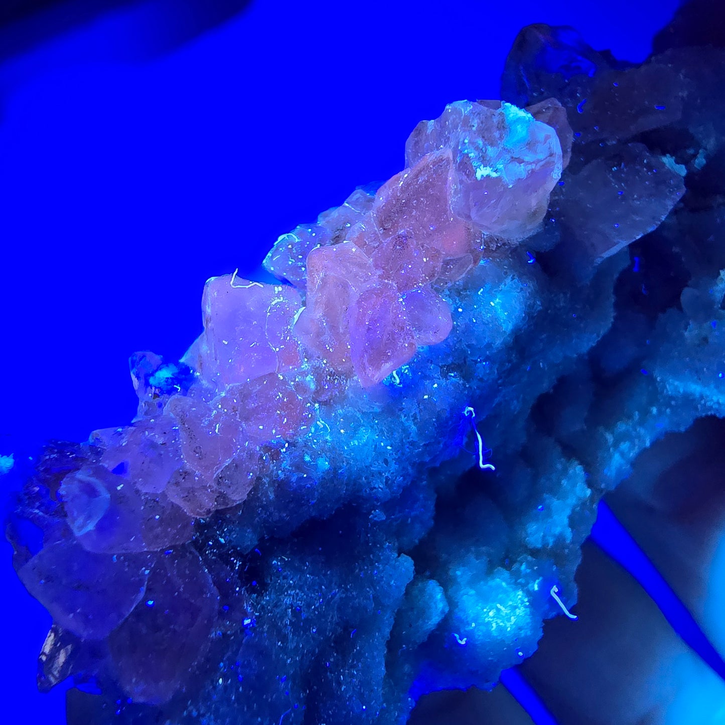 Spécimen rare de calcite UV, mine Valentine Pocket, Goboboseb, Namibie, 88 x 44 x 29 mm