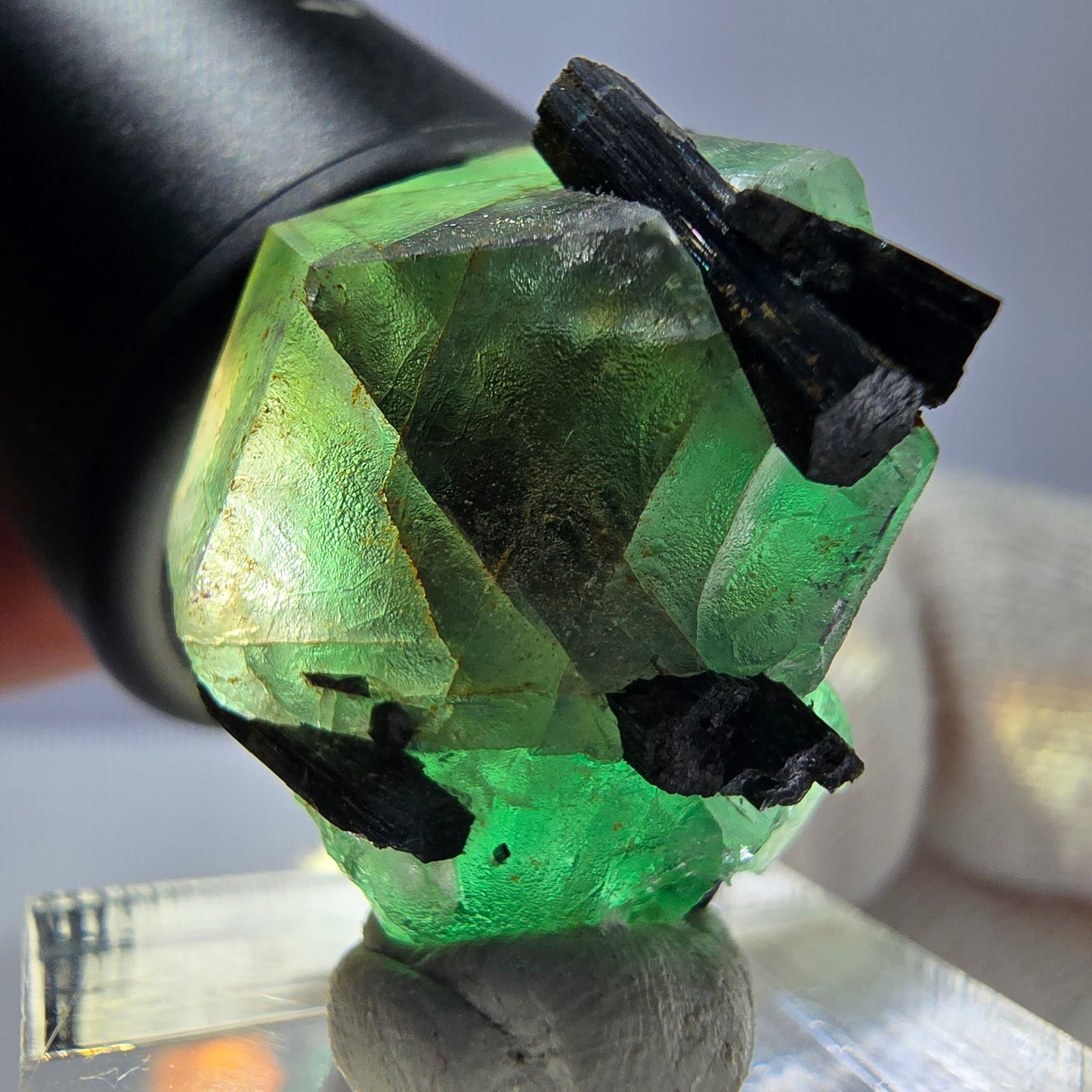 Spécimen de tourmaline Schorl hexagonale en fluorite fantôme, Erongo, Namibie, 23 x 22 x 22 mm