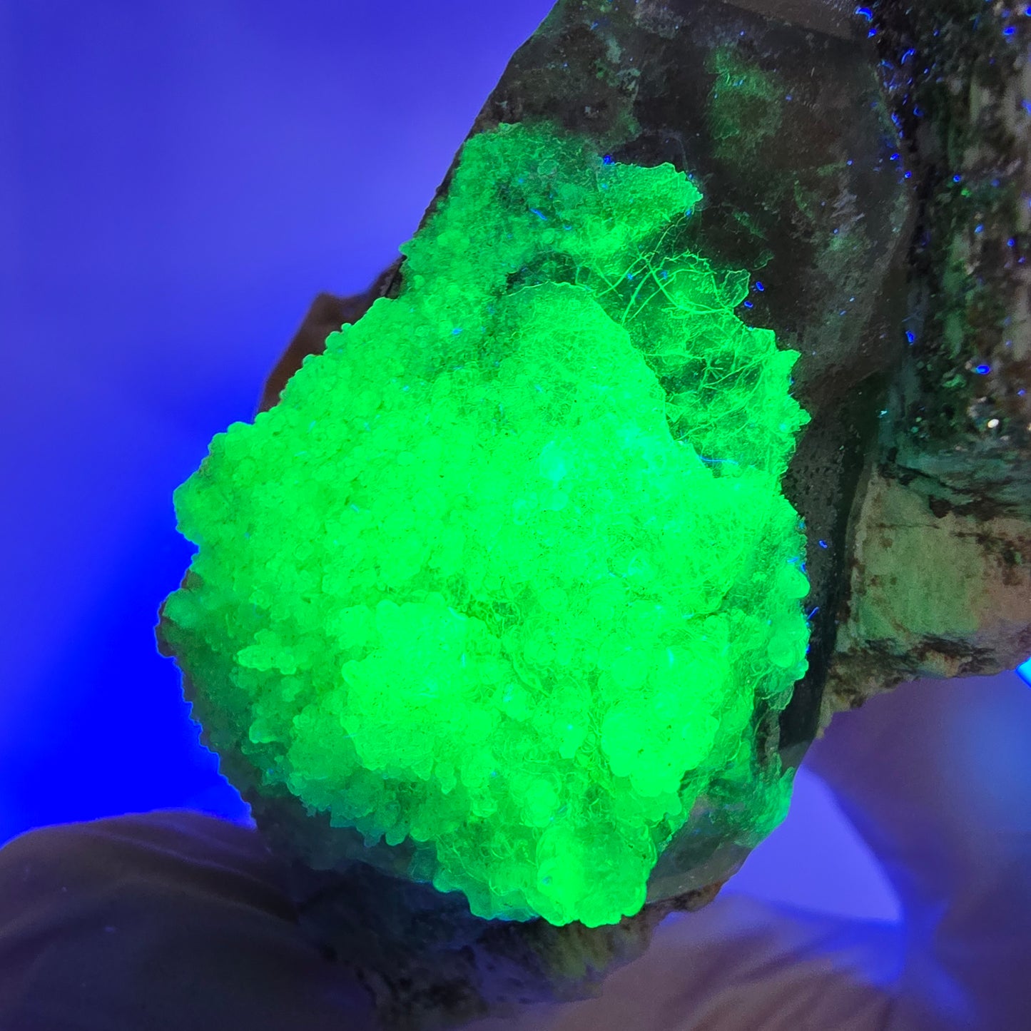 Rauchquarz, Hyalit Schörl Turmalin Orthoklas Muskovit Erongo, Namibia 74*68*36mm