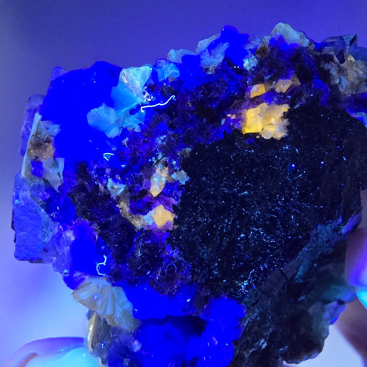 Fluorite fantôme Schörl, tourmaline, calcite, muscovite, stade Erongo, Namibie, 52 x 43 x 34 mm