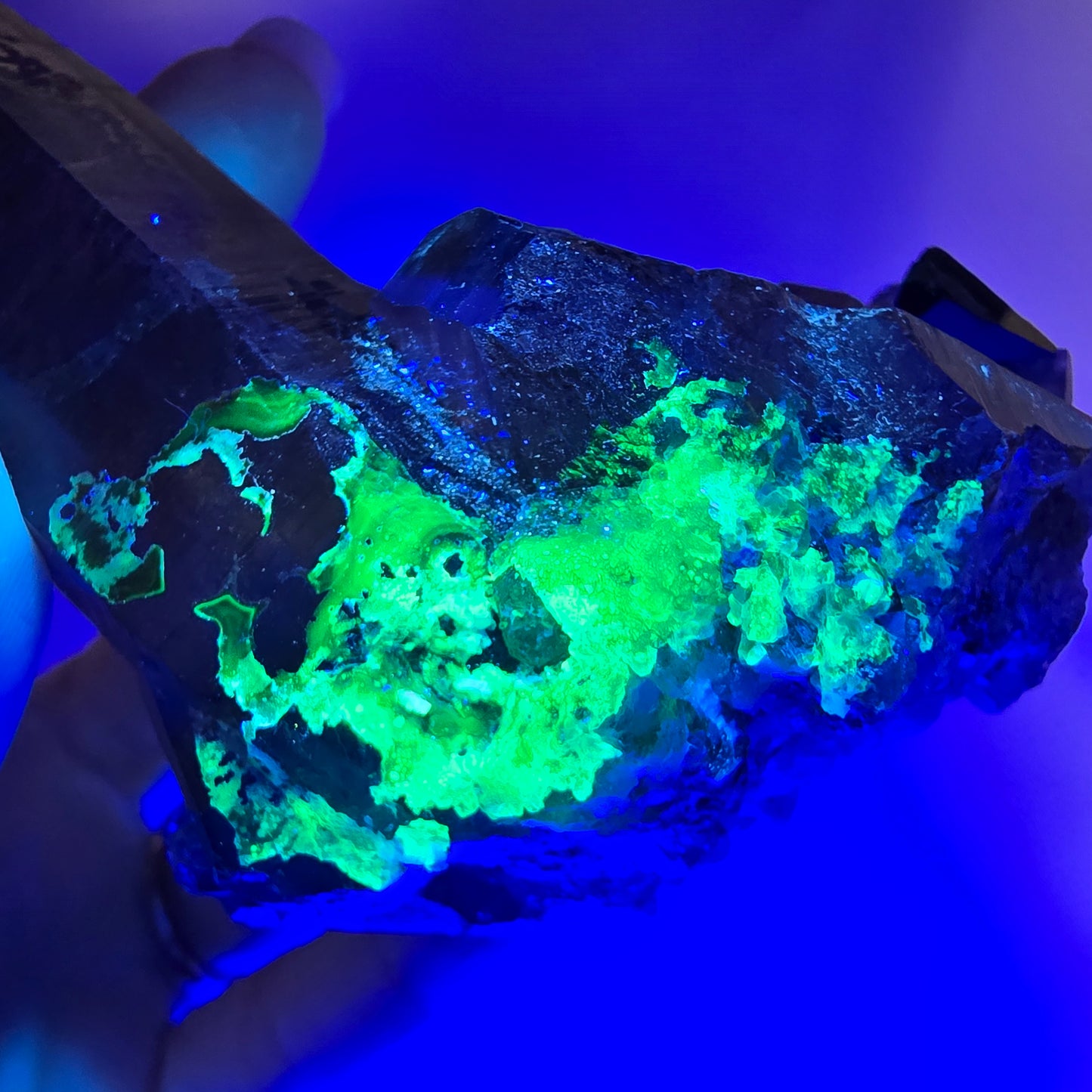 Spécimen de quartz fumé, hyalite et tourmaline Schorl, squelette fantôme, Erongo, Namibie, 95 x 70 x 63 mm