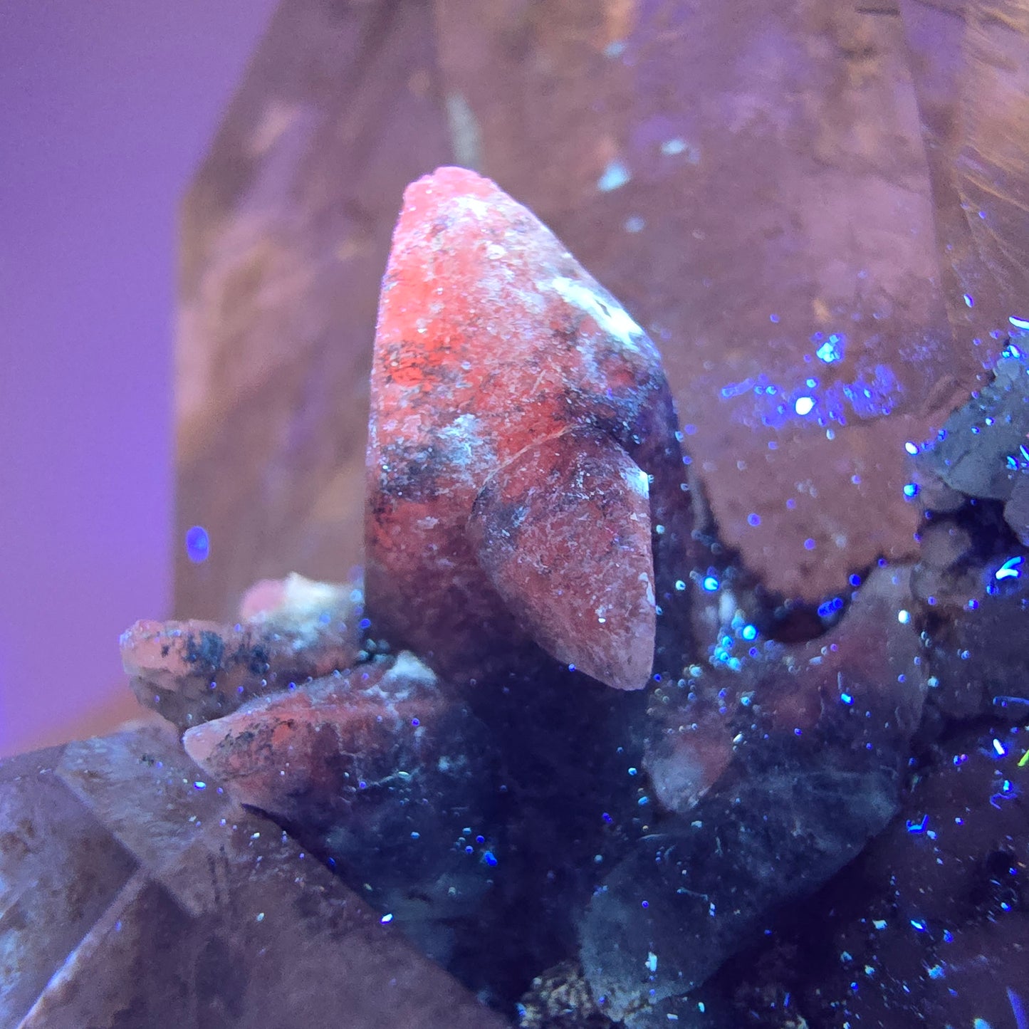 Sceptre squelette en quartz fumé Enhydro, calcite UV Valentine Pocket Goboboseb Namibie 99 x 56 x 45 mm