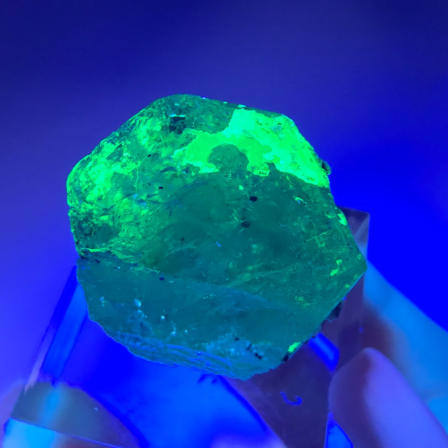Seltener Aquamarin X mit Hyalit Erongo, Namibia 20*18*16mm