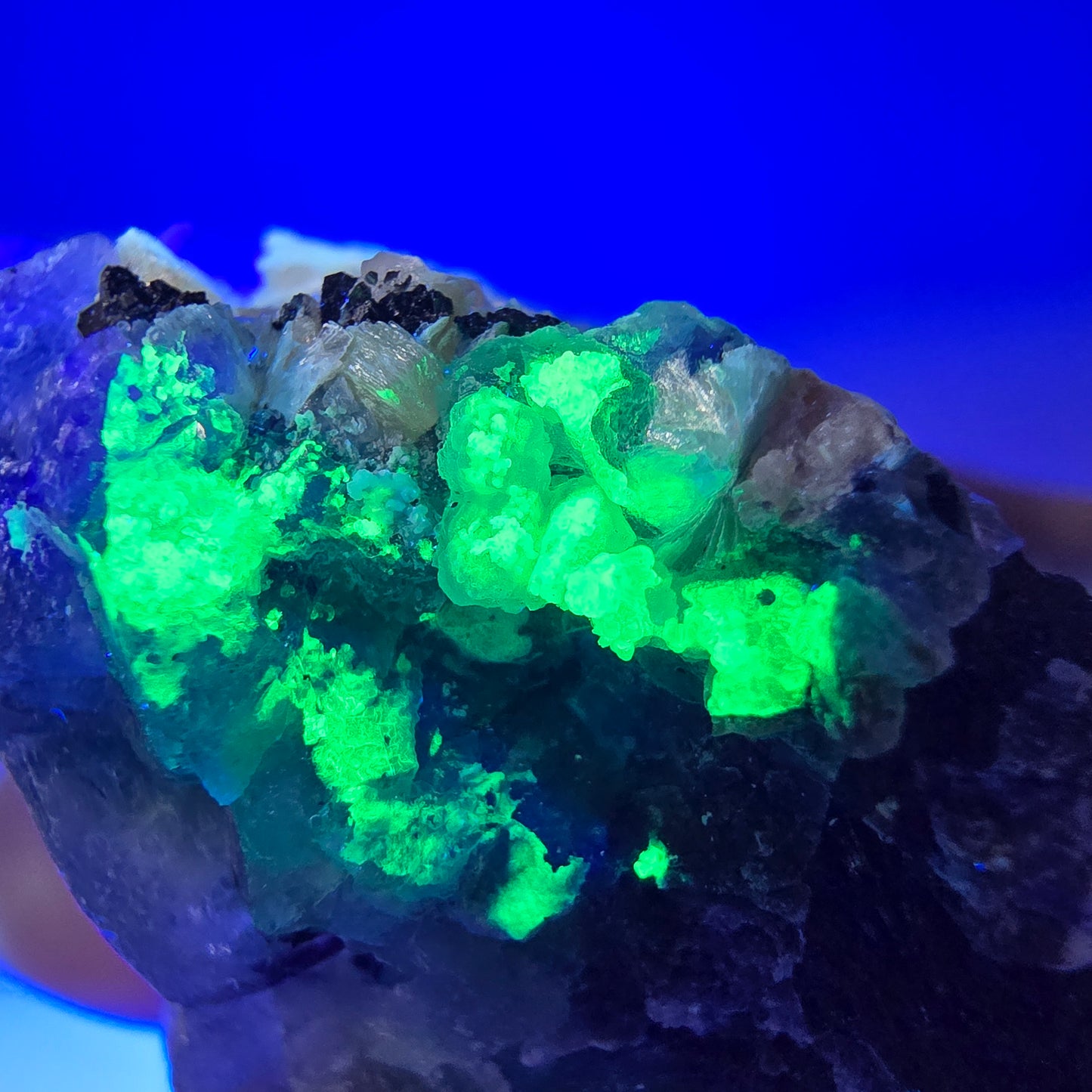 Fluorite fantôme, muscovite, hyalite, tourmaline Schörl, Erongo, Namibie, 49 x 38 x 30 mm
