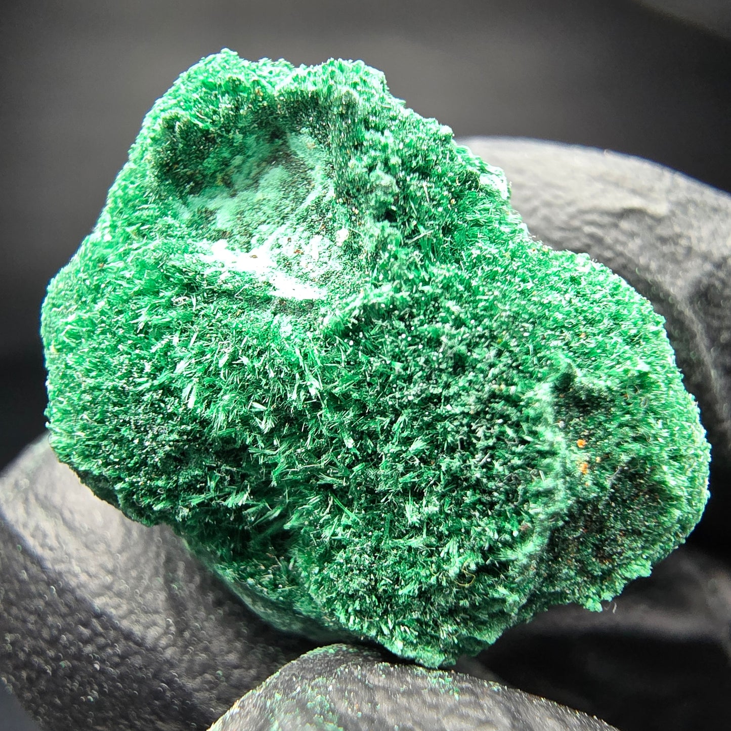 Spécimen rare de malachite, Kaokoveld vert, collection minérale namibie 24*22*16mm